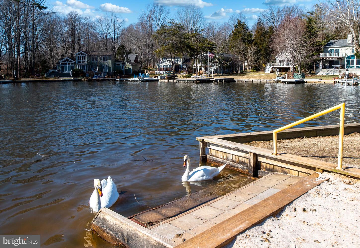 LAKE OF THE WOODS - Residential