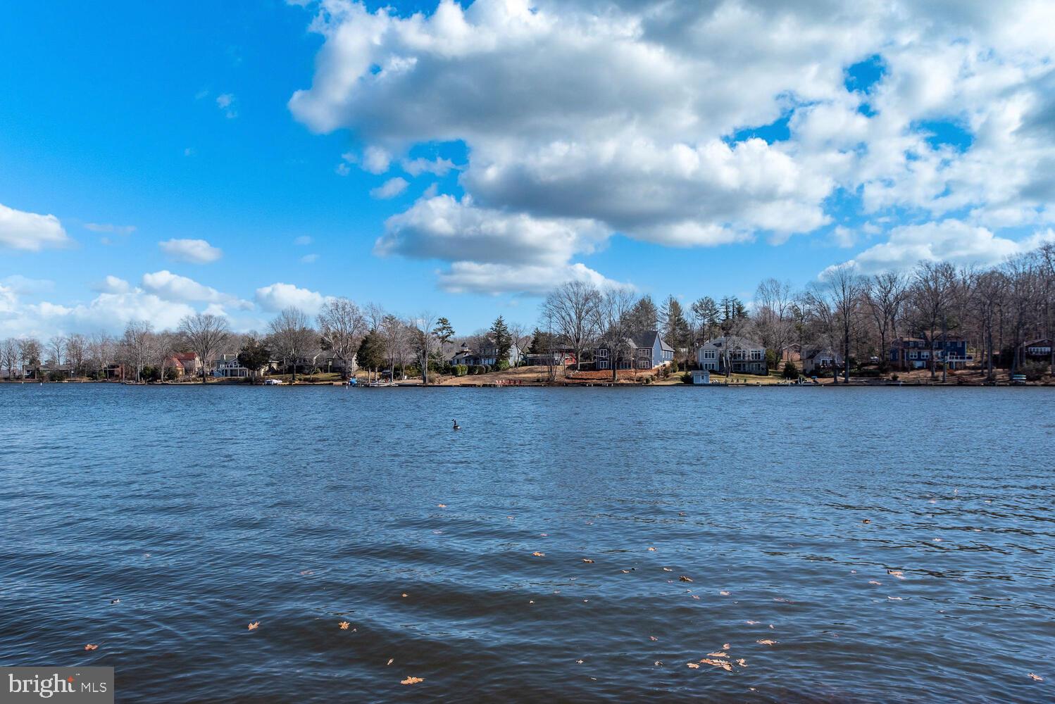 LAKE OF THE WOODS - Residential