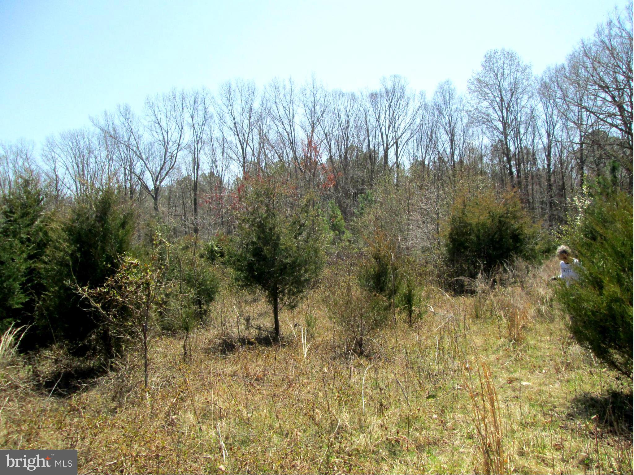 NONE AVAILABLE - Land