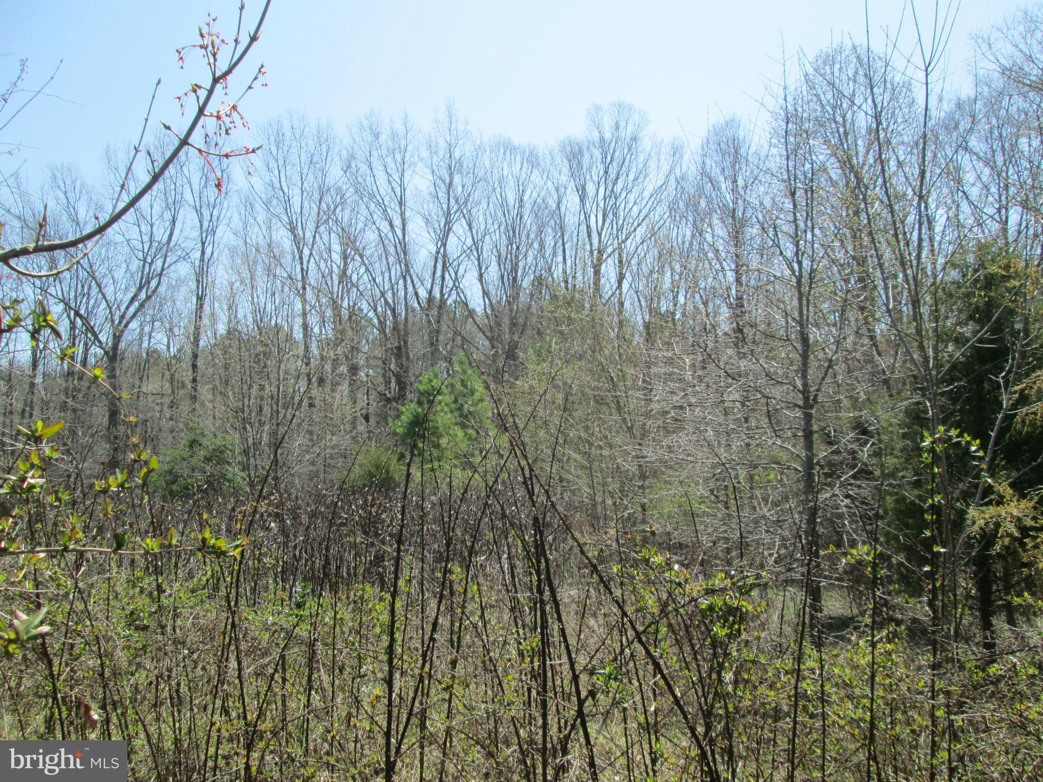 NONE AVAILABLE - Land