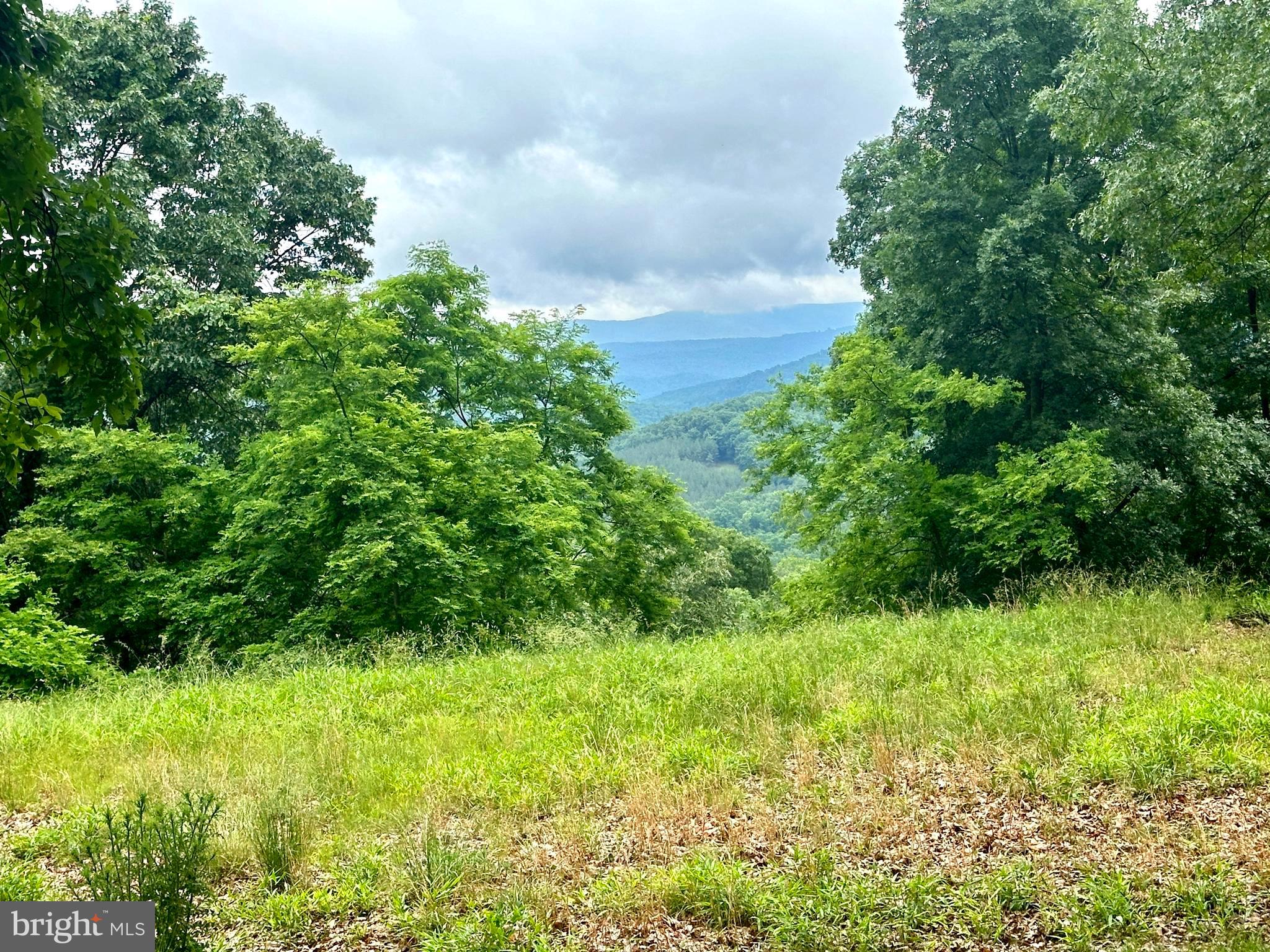 EWING ESTATES - Land