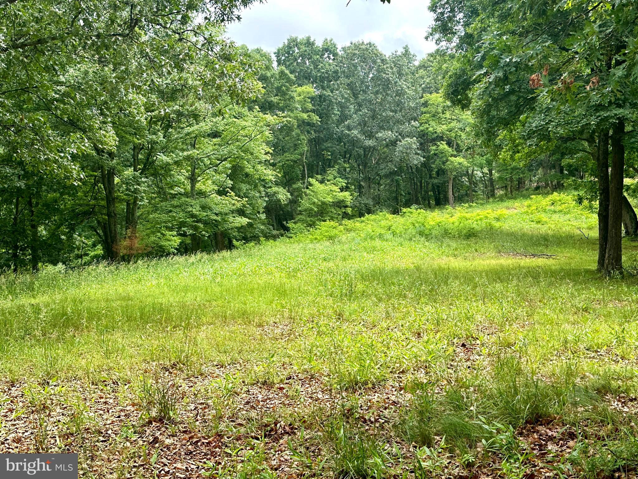 EWING ESTATES - Land