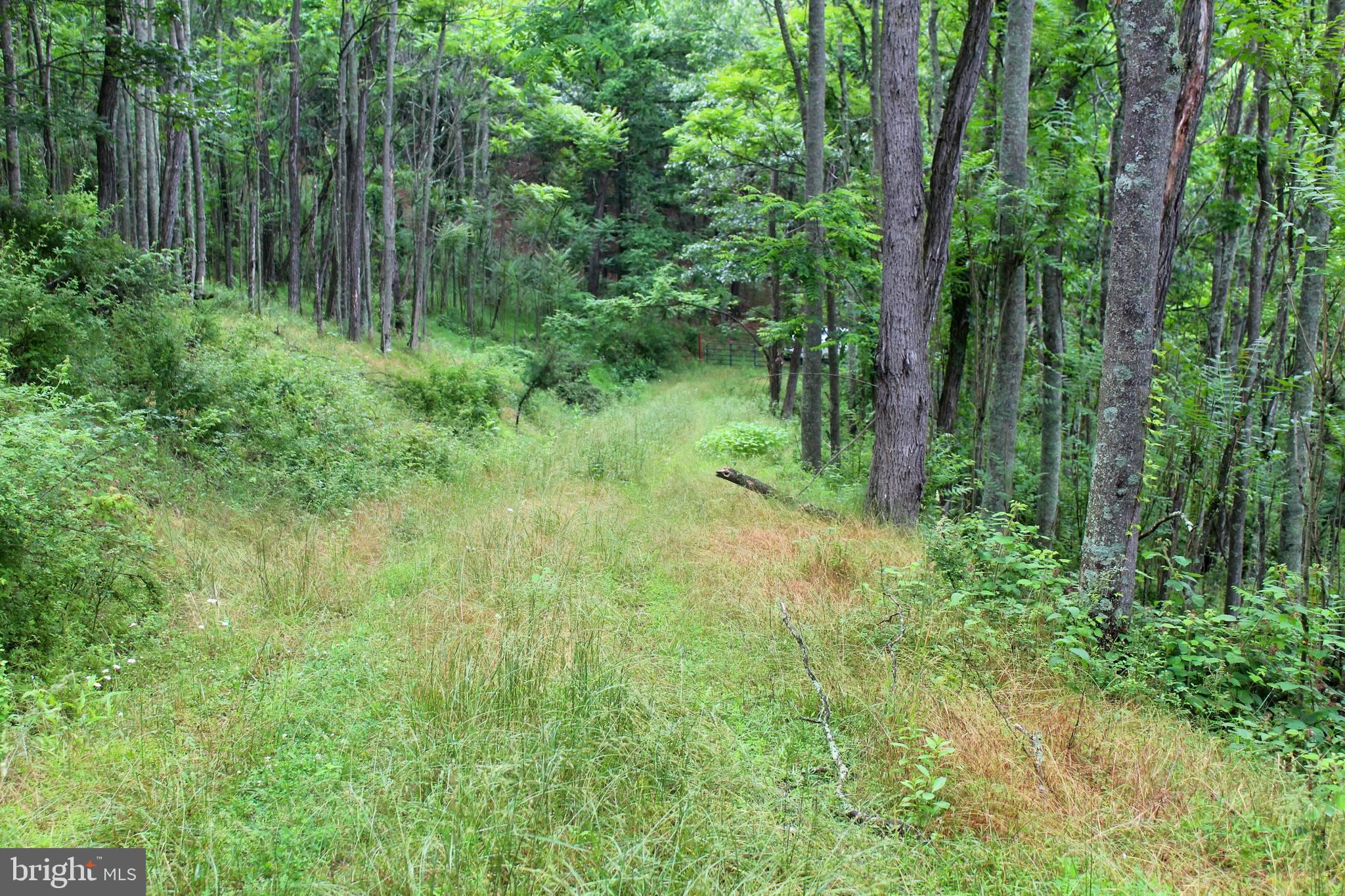 EWING ESTATES - Land