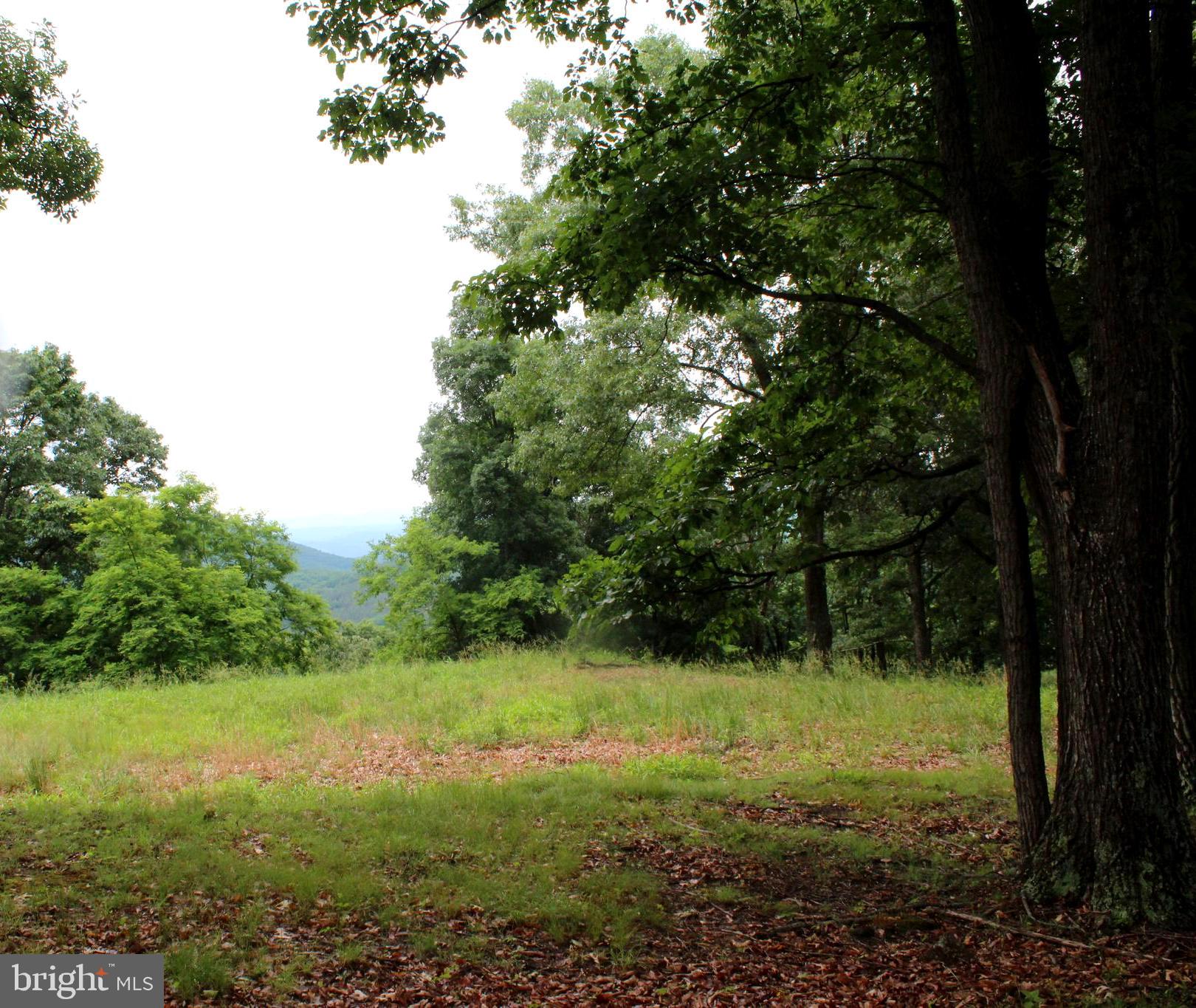 EWING ESTATES - Land