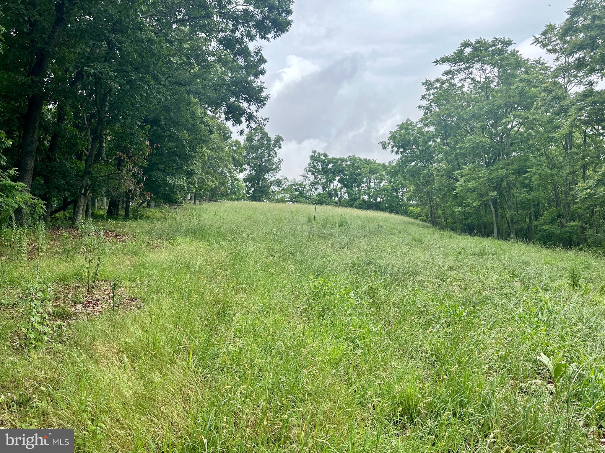 EWING ESTATES - Land