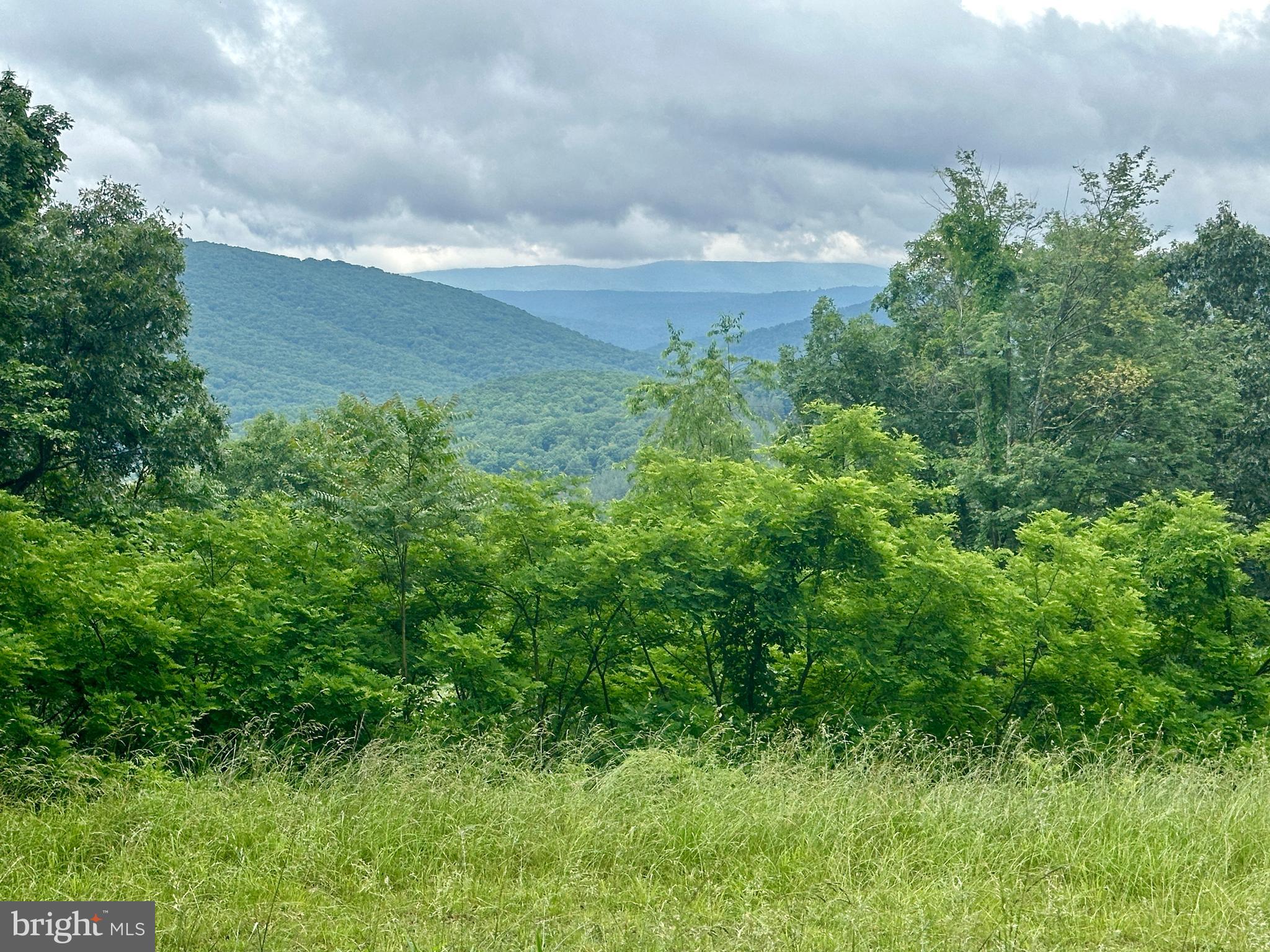 EWING ESTATES - Land