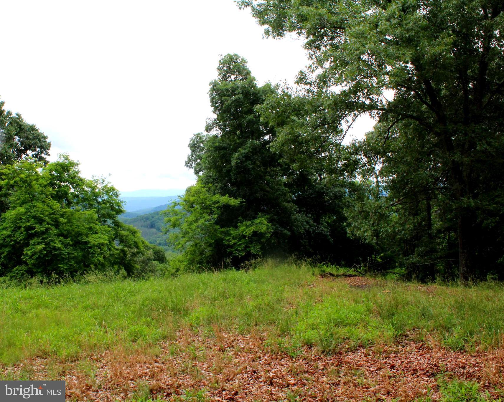 EWING ESTATES - Land