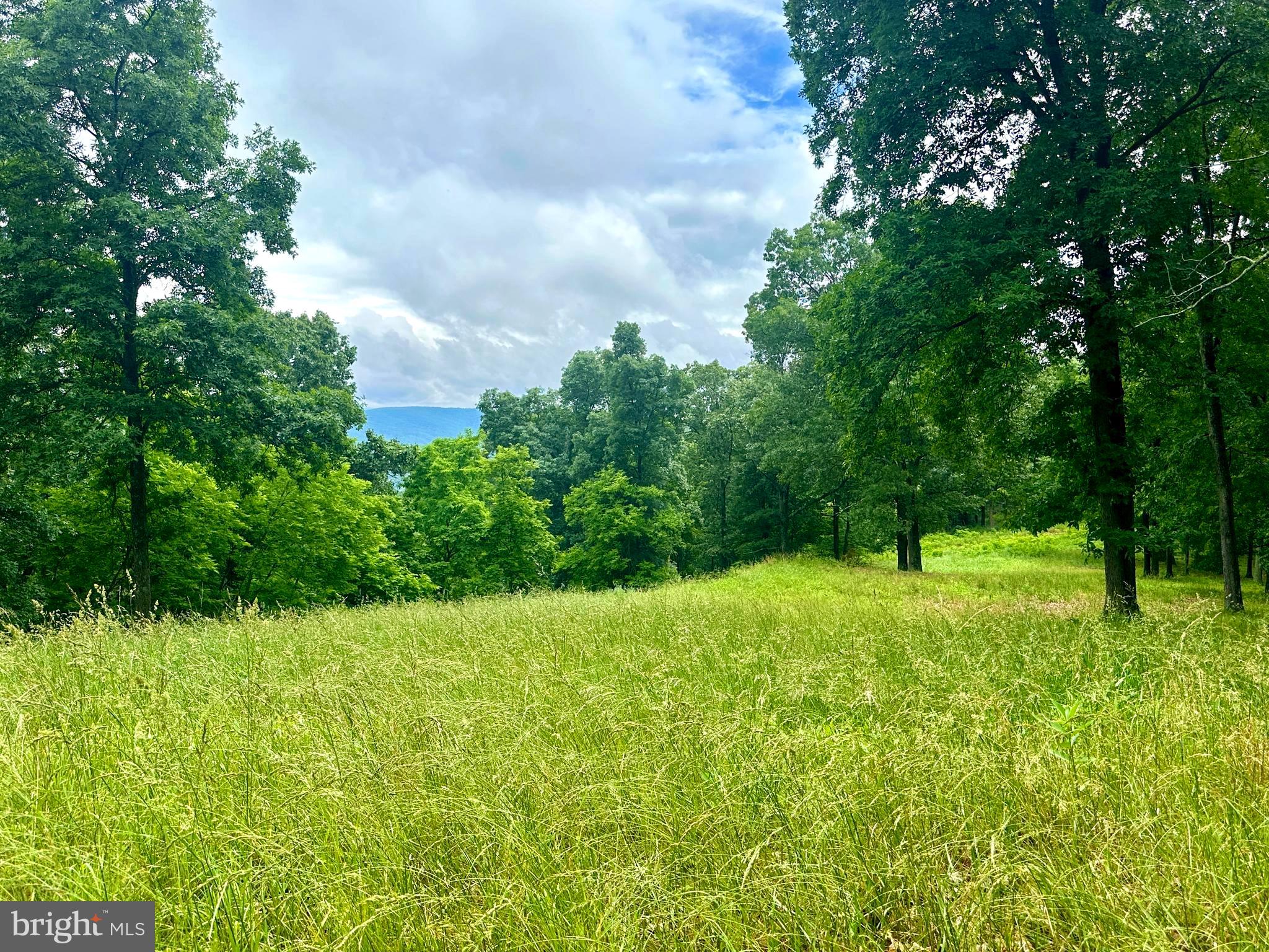 EWING ESTATES - Land