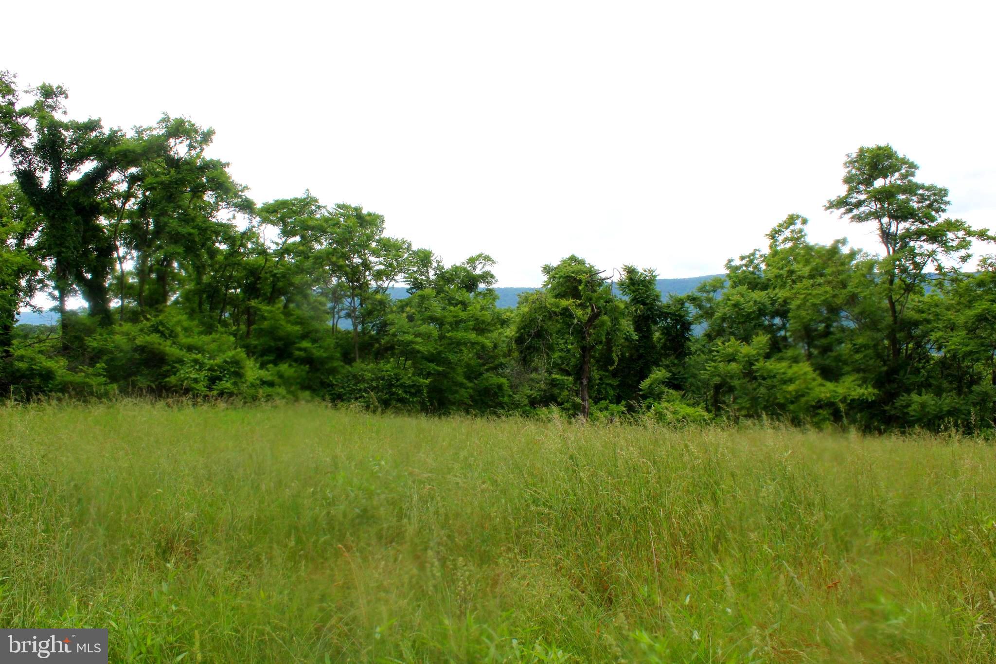 EWING ESTATES - Land