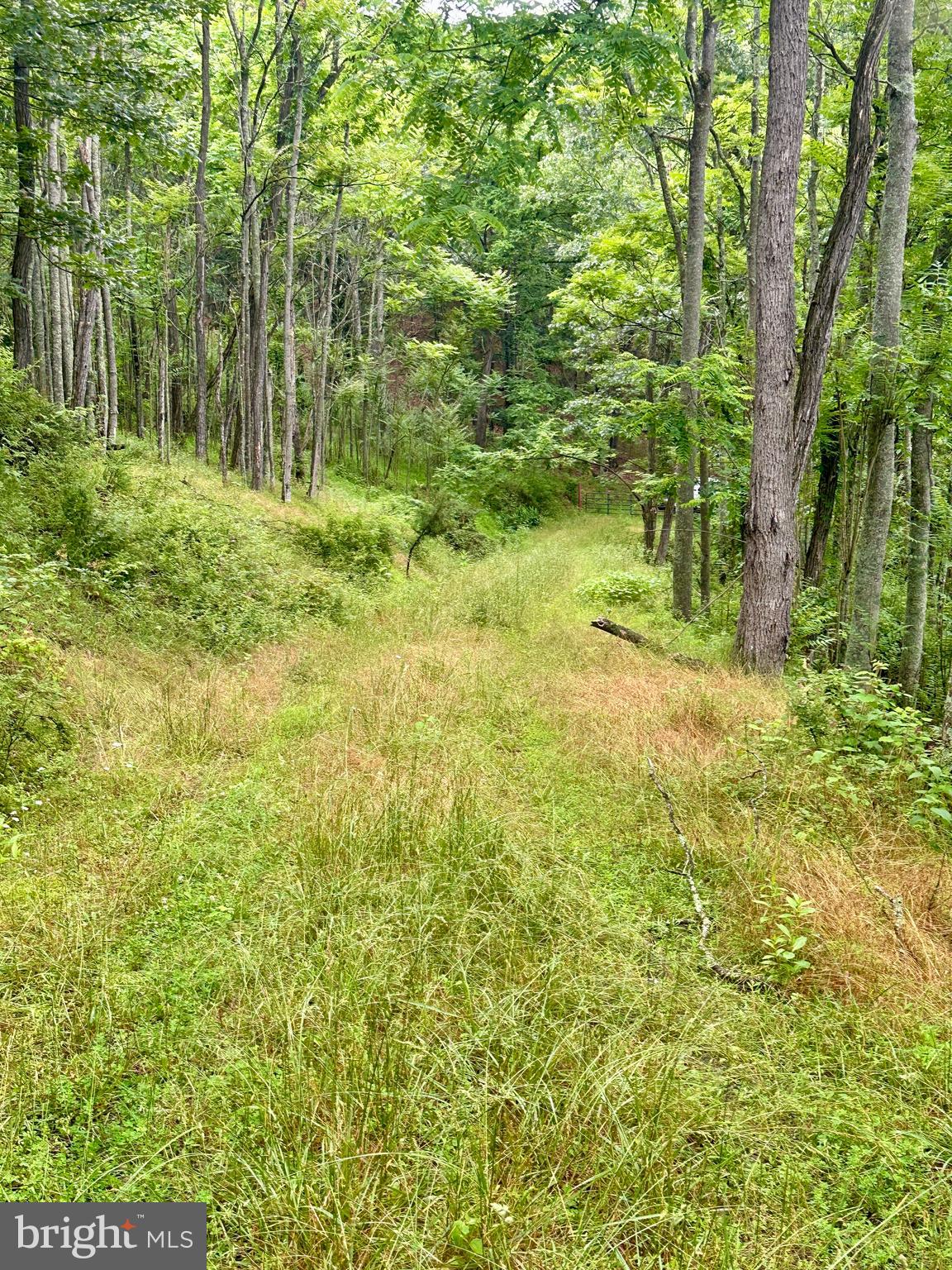 EWING ESTATES - Land