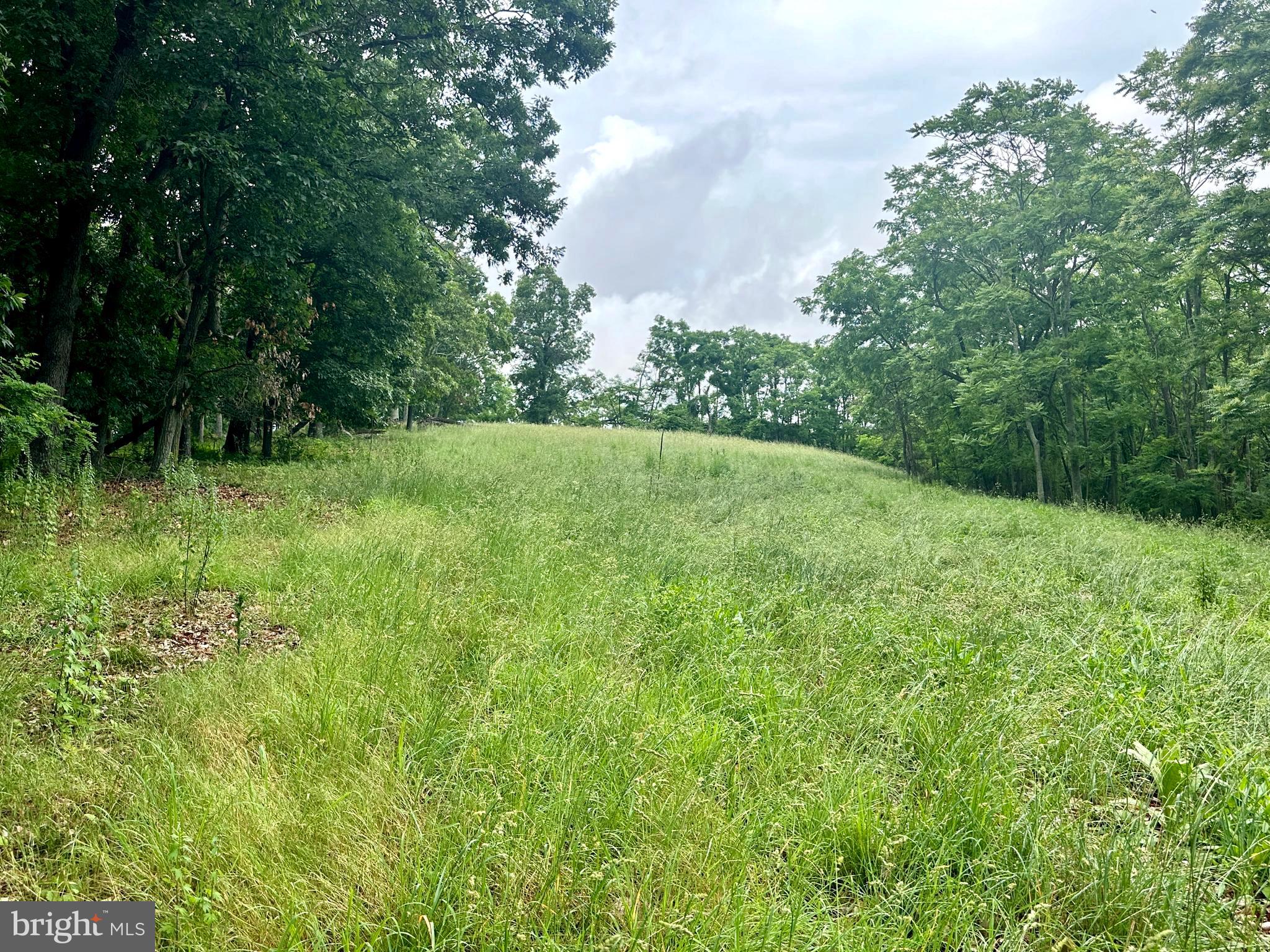 EWING ESTATES - Land