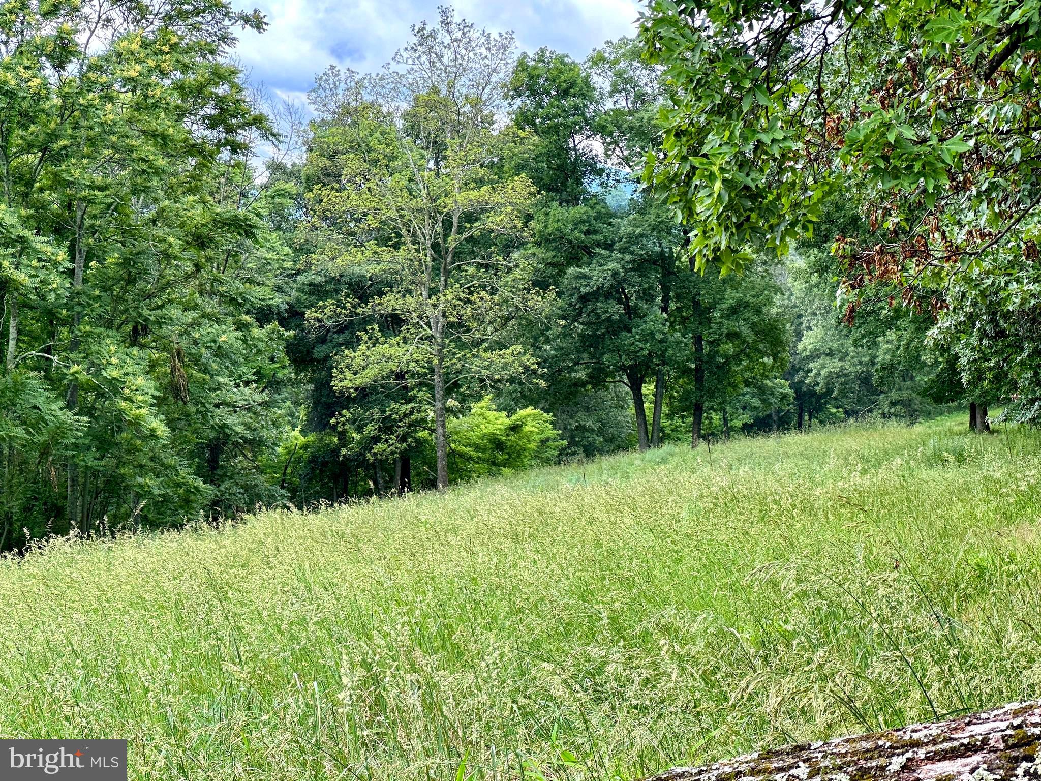 EWING ESTATES - Land