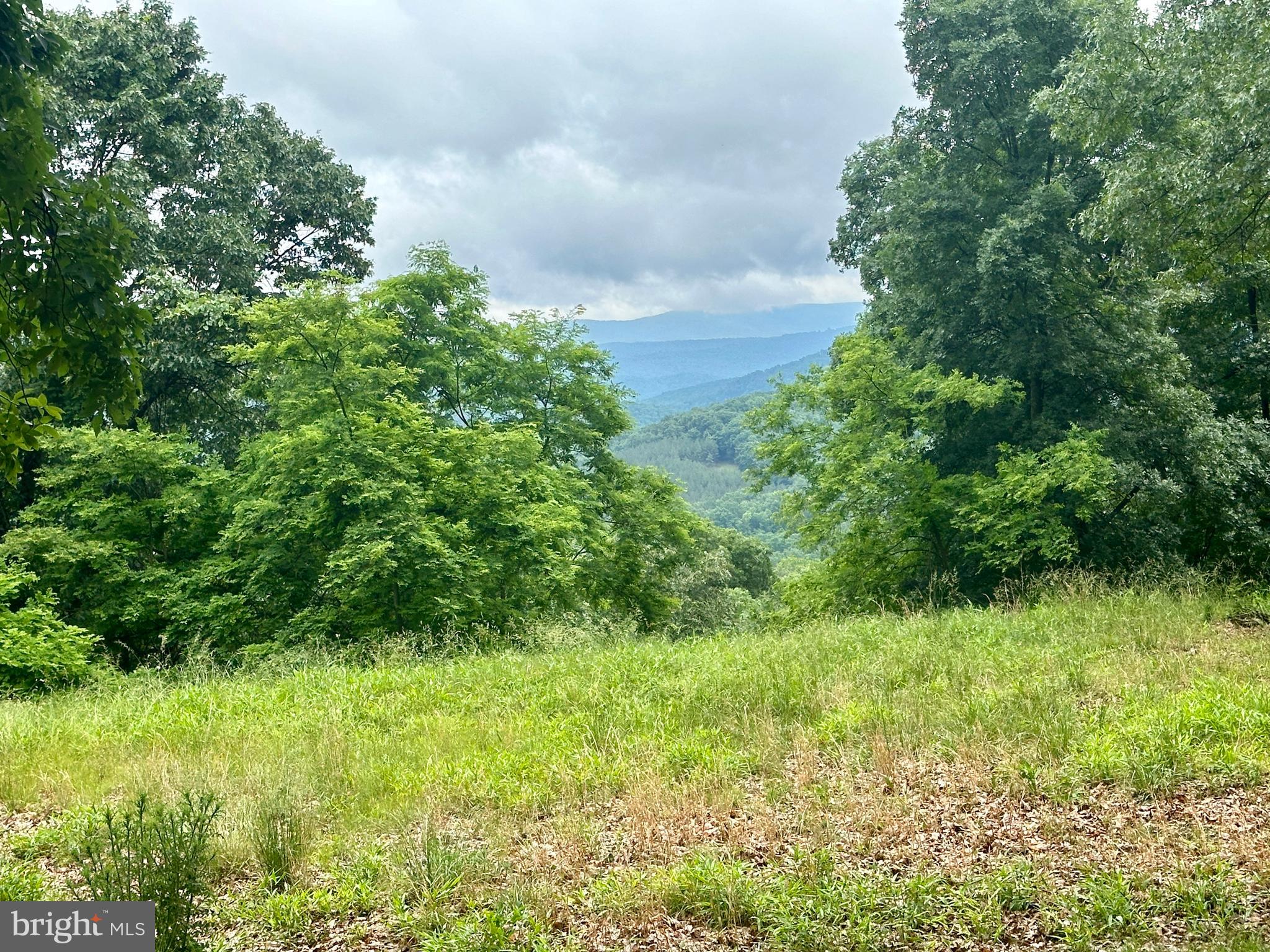 EWING ESTATES - Land