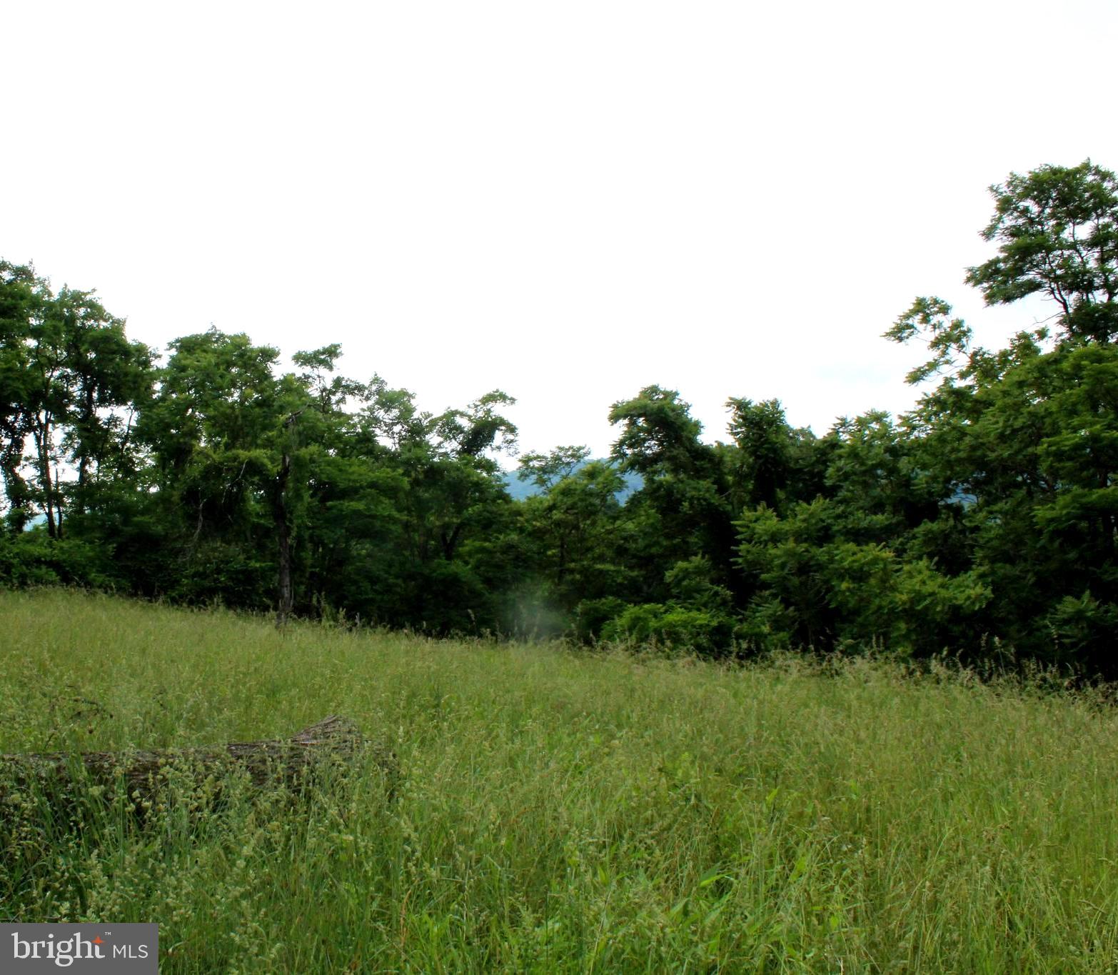 EWING ESTATES - Land