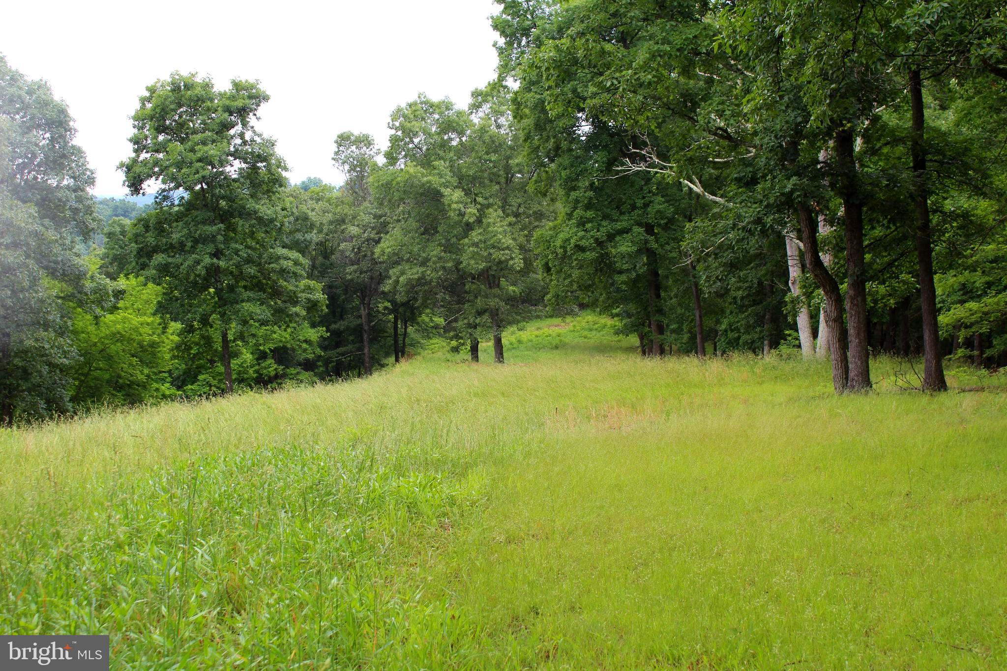 EWING ESTATES - Land