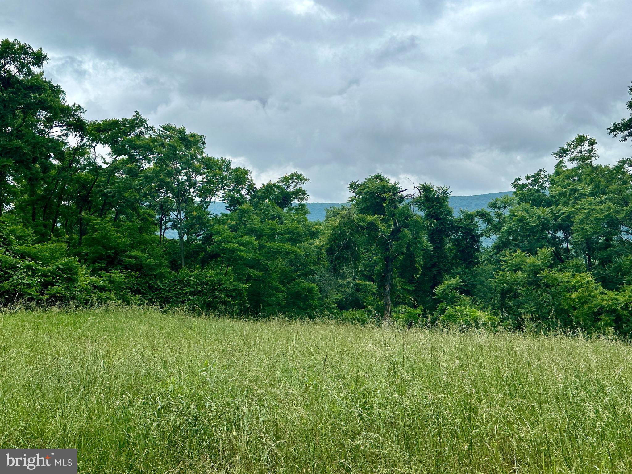 EWING ESTATES - Land