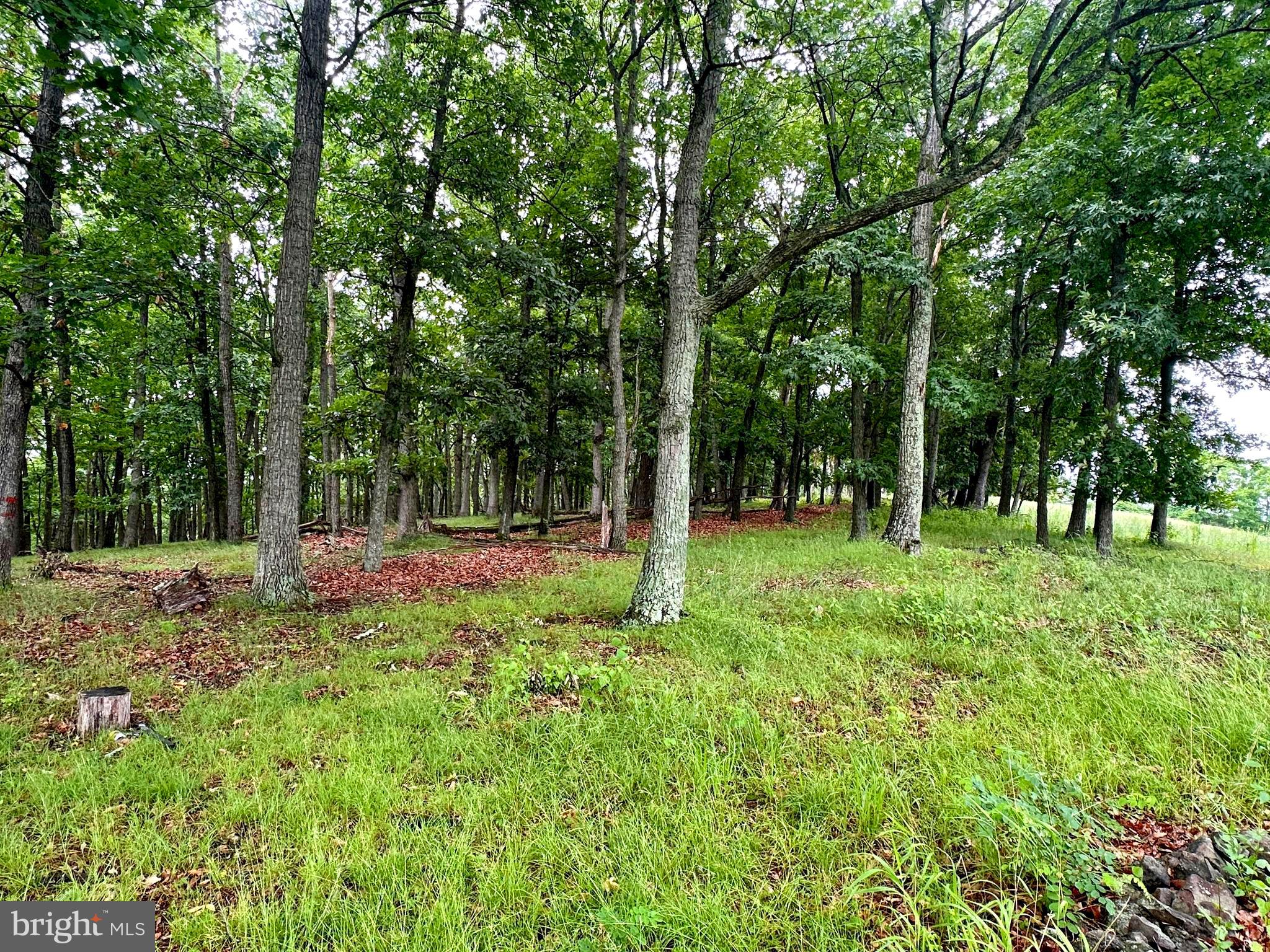 EWING ESTATES - Land