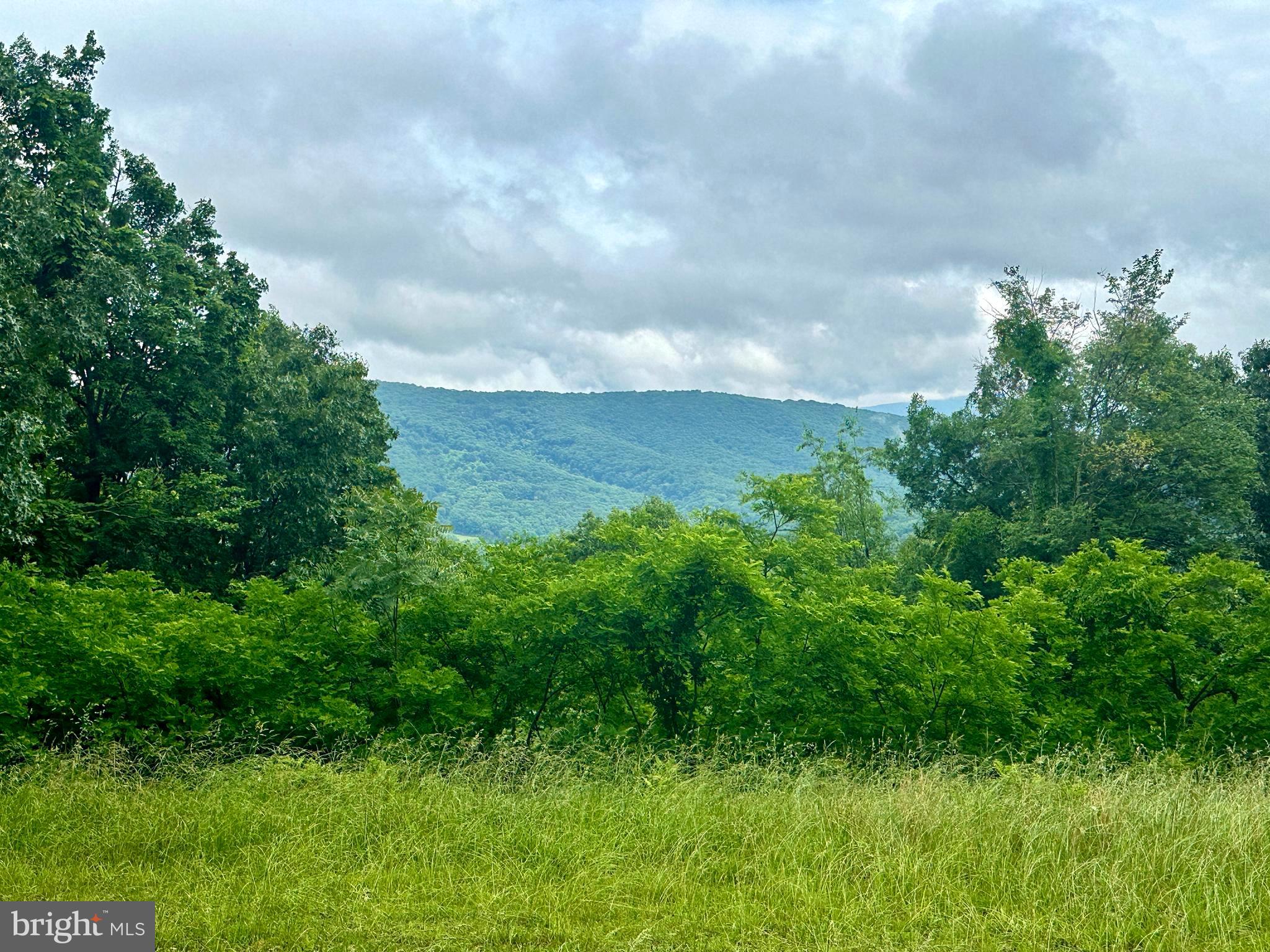 EWING ESTATES - Land