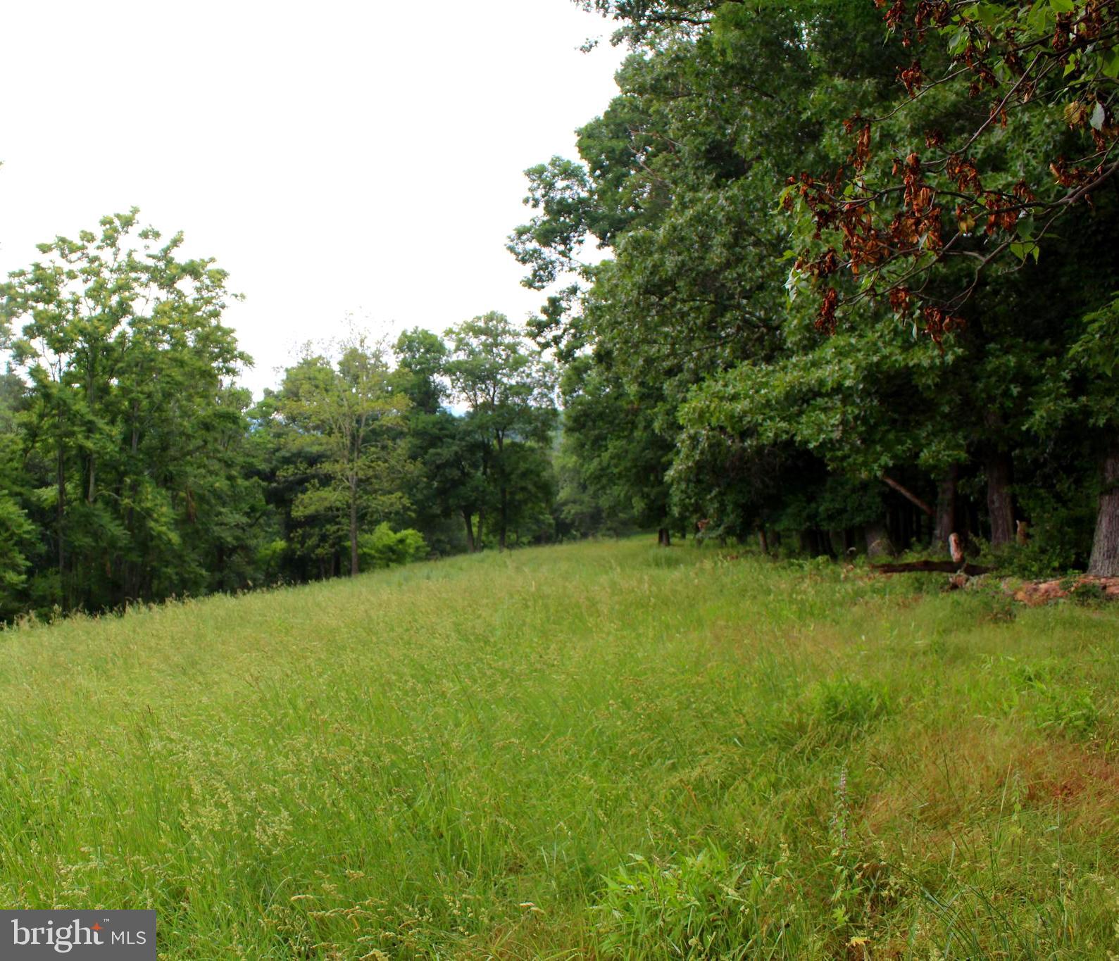 EWING ESTATES - Land