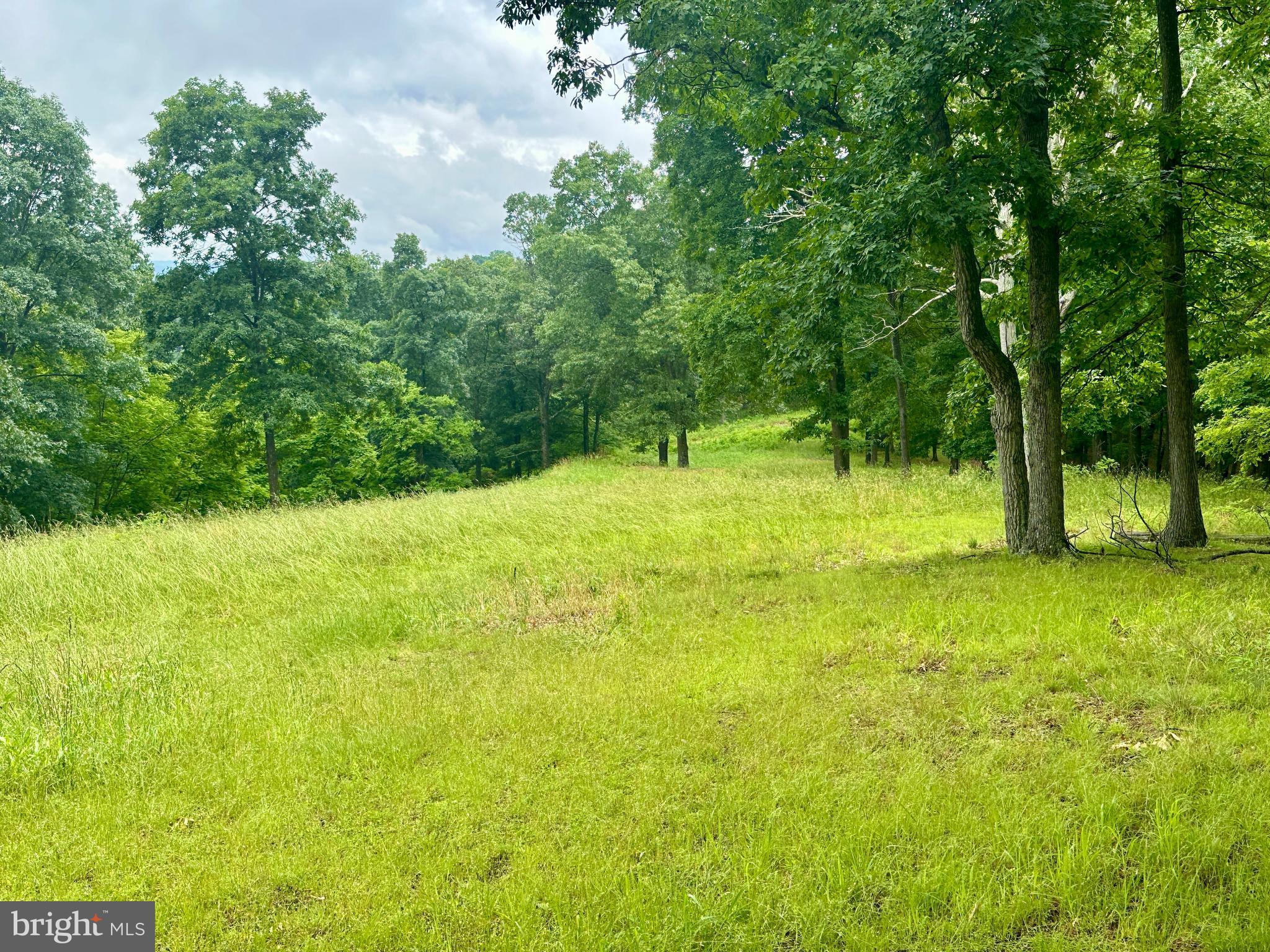 EWING ESTATES - Land