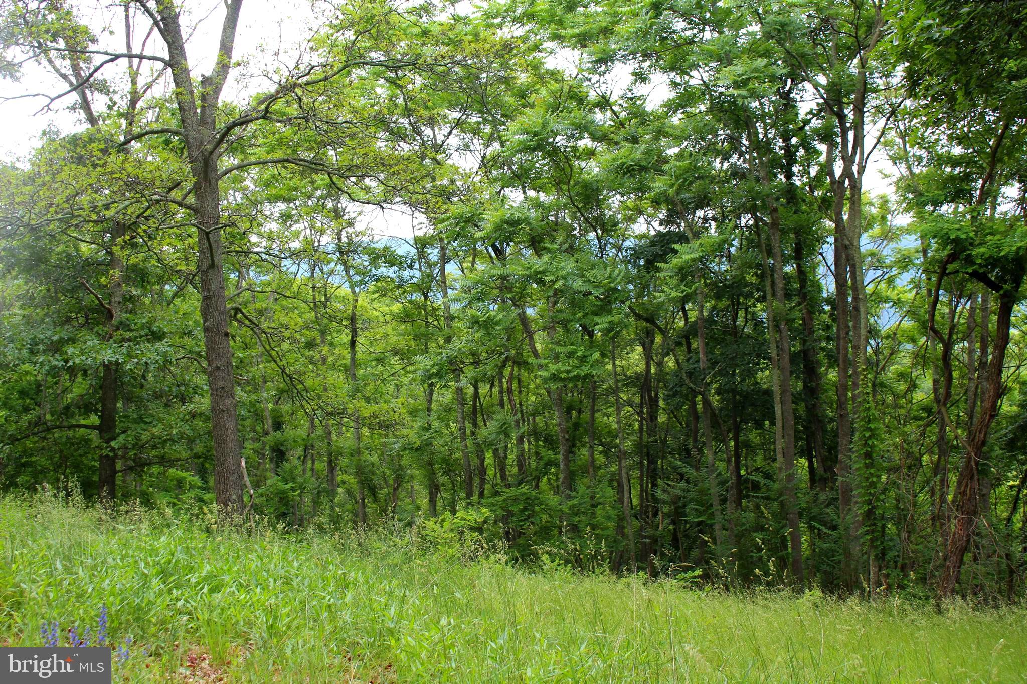 EWING ESTATES - Land