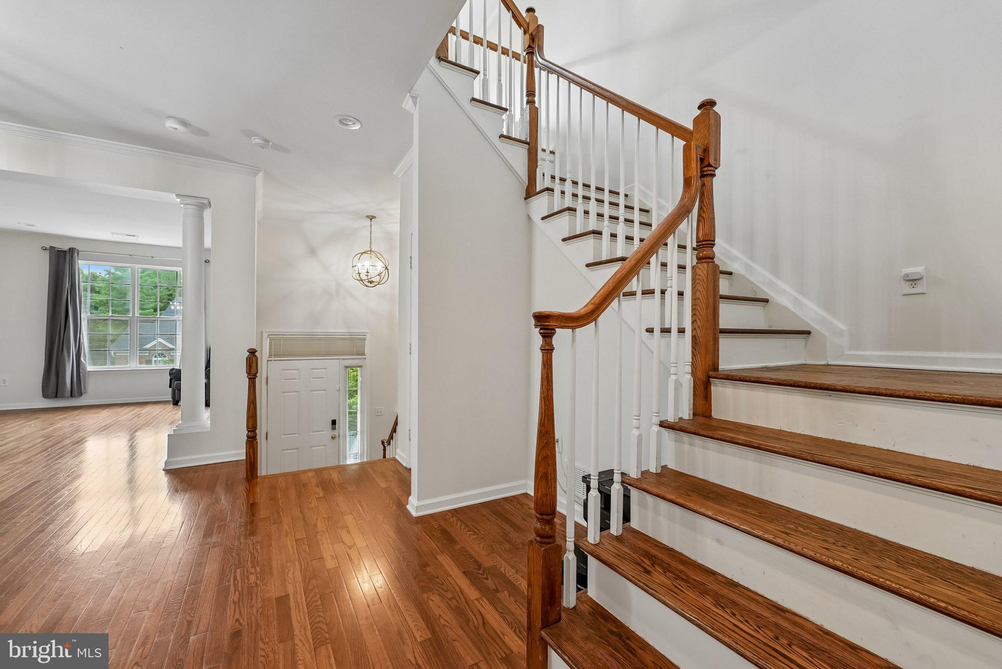 19 JACKSON AVENUE