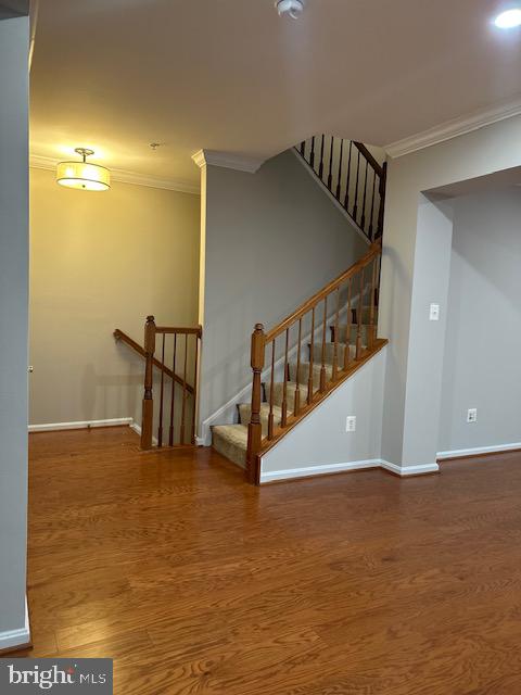 RESIDENCES AT LANSDOWNE - Residential Lease