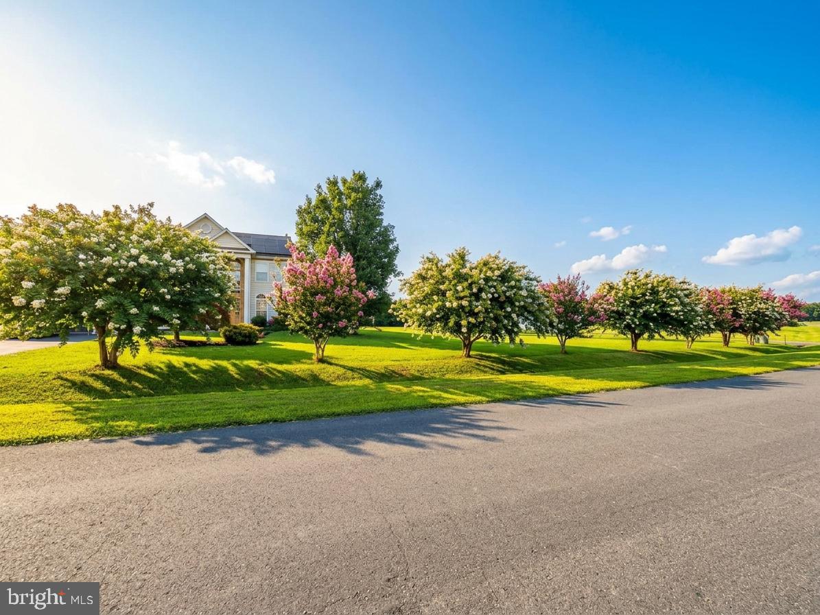 12936 BROADVIEW RUN DRIVE