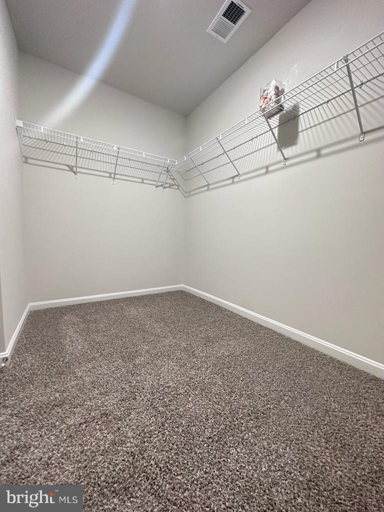 MAGNOLIA SPRINGS - Residential Lease