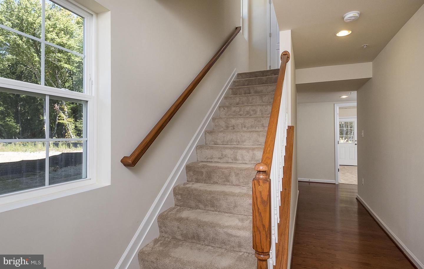 DORCHESTER VIEW - Residential Lease