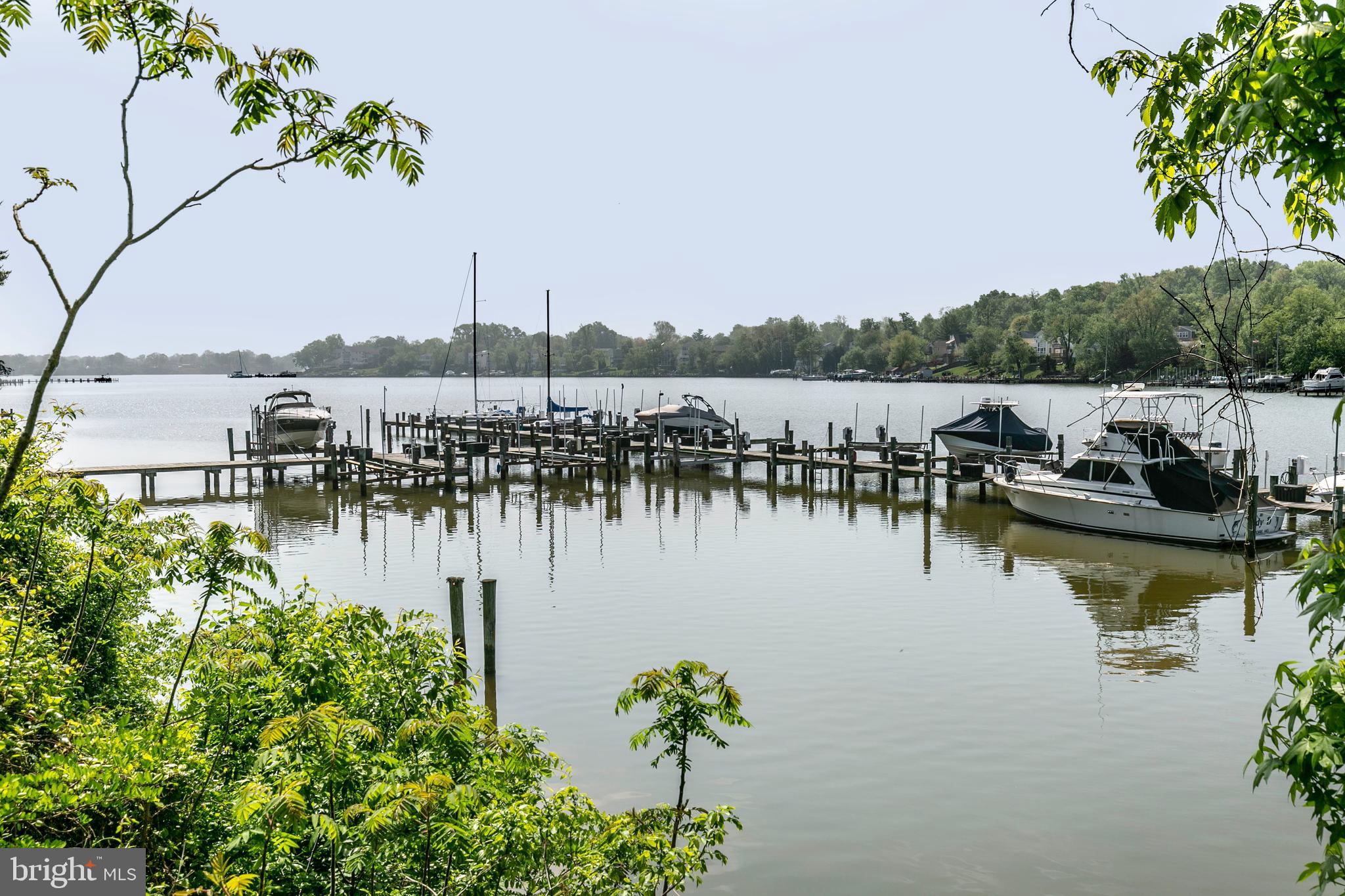 CHESTNUT HILL COVE - Residential