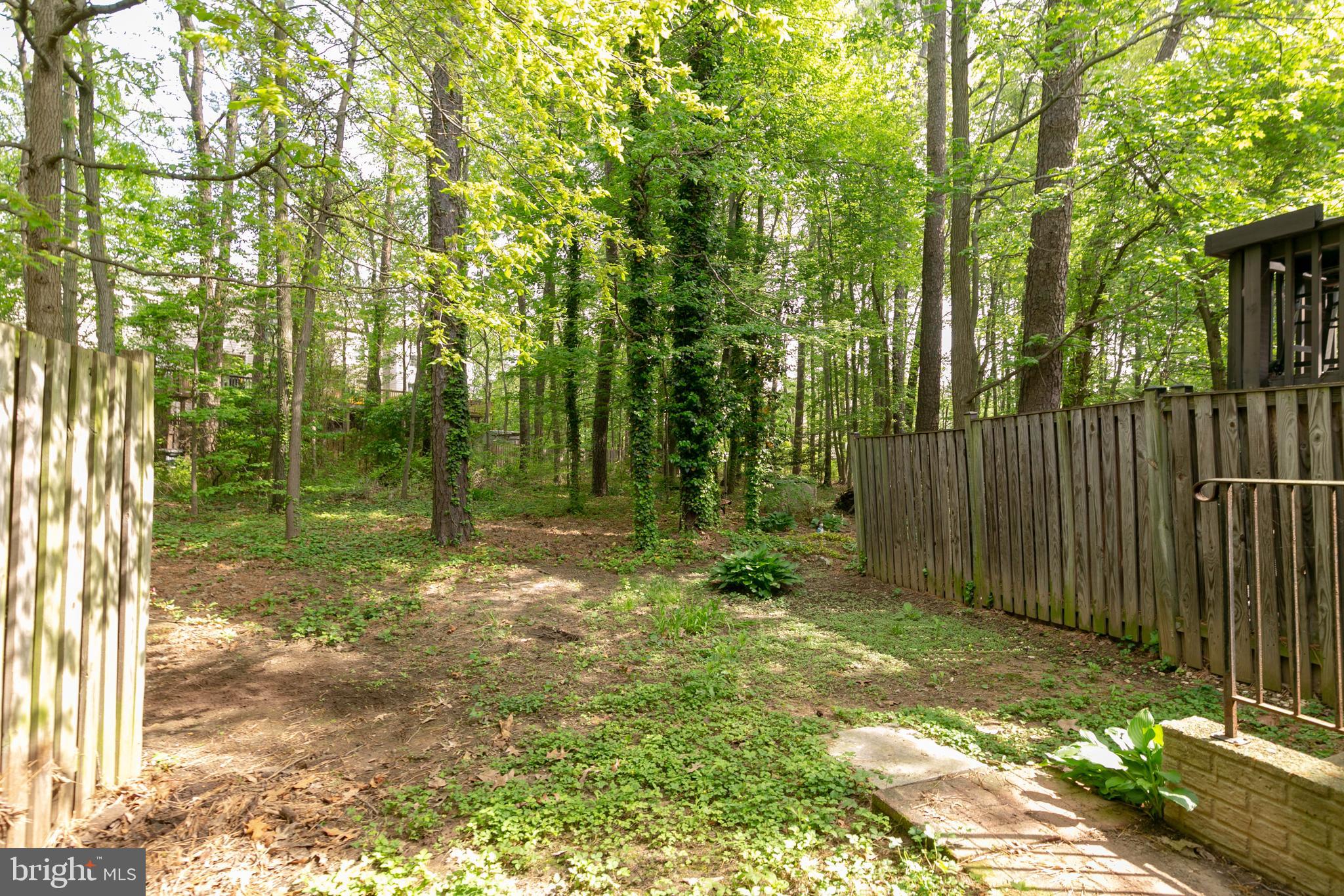 CHESTNUT HILL COVE - Residential