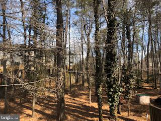 CHESTNUT HILL COVE - Residential