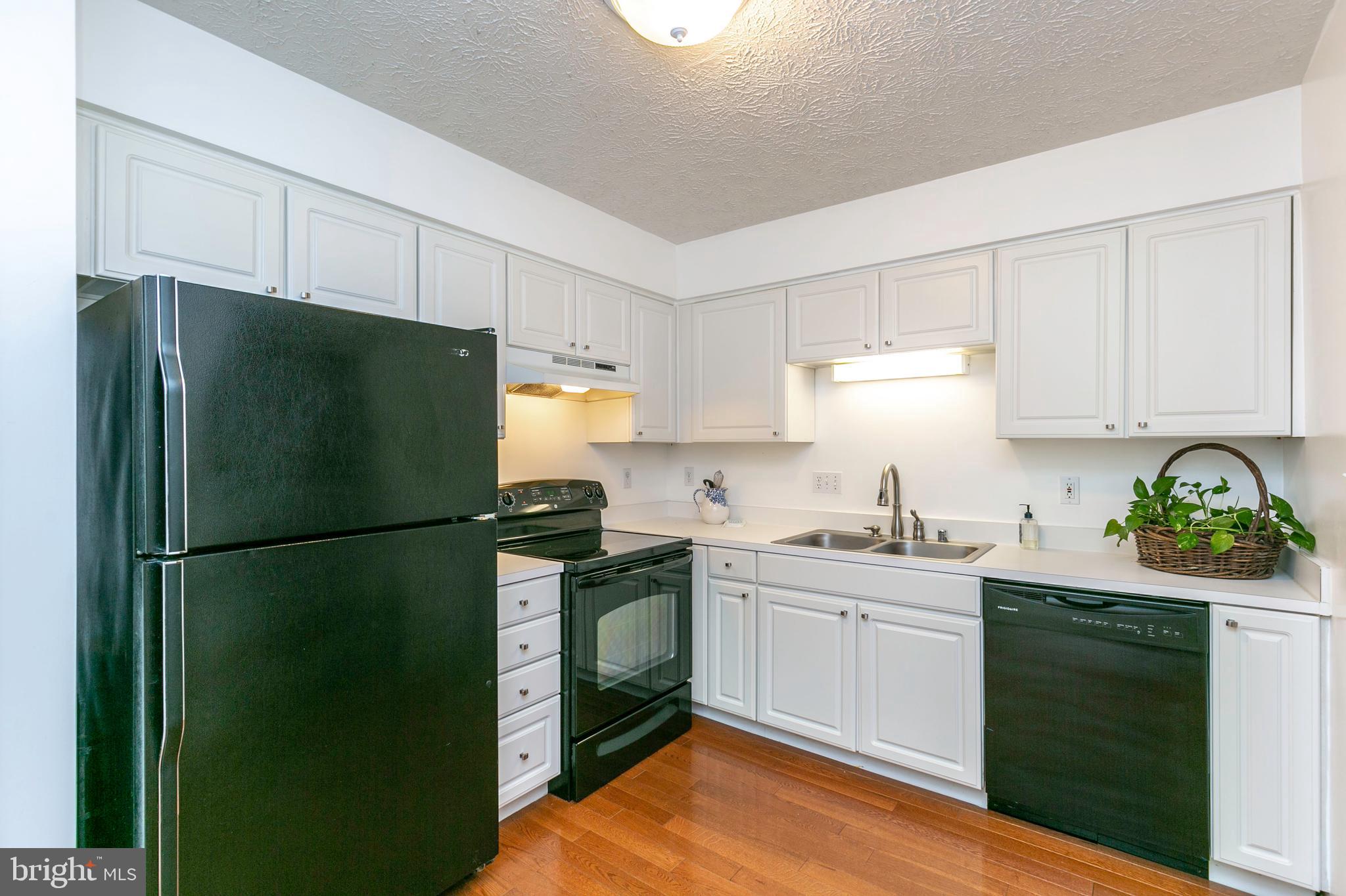 CHESTNUT HILL COVE - Residential