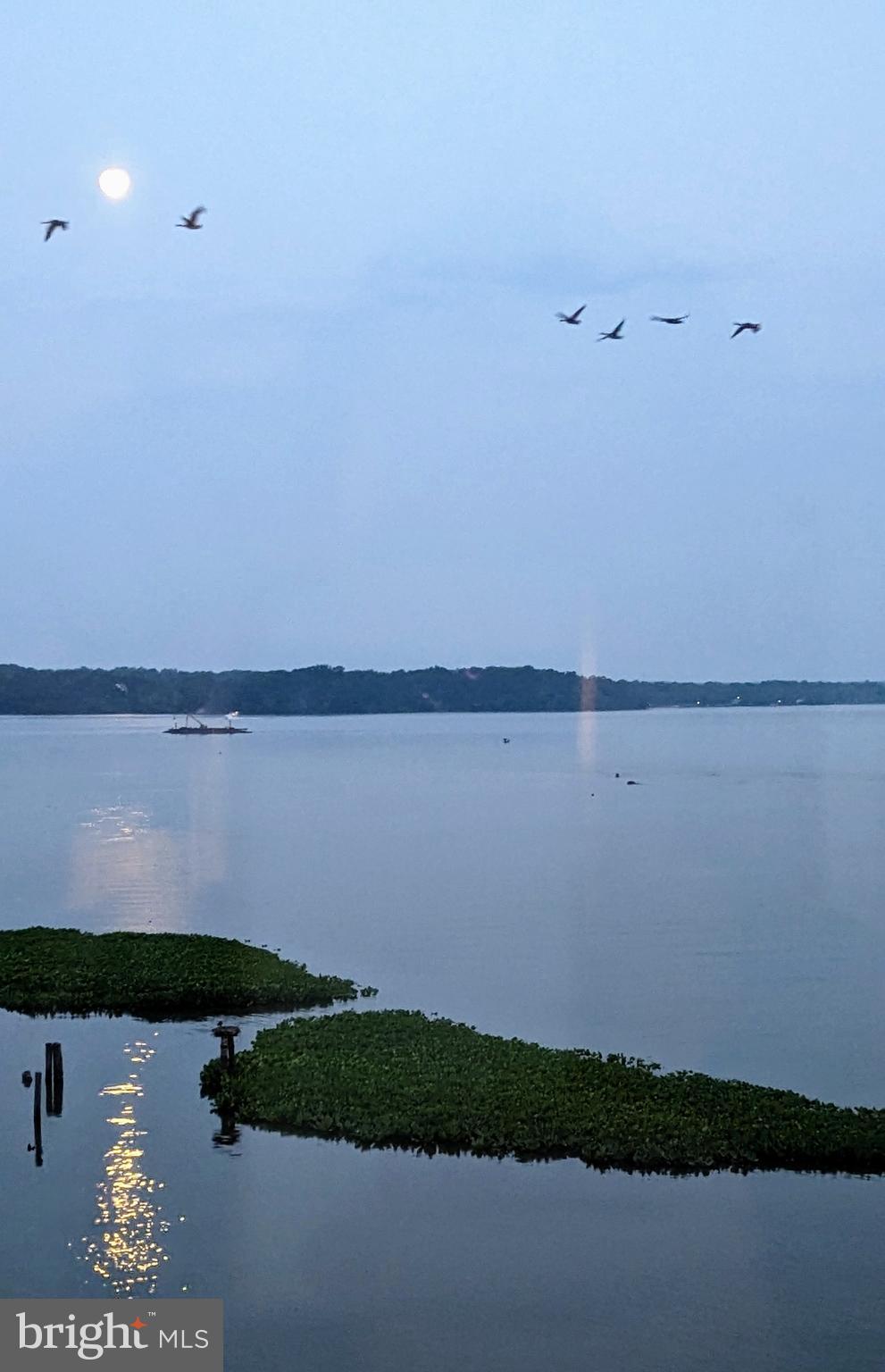 PORTO VECCHIO - Residential