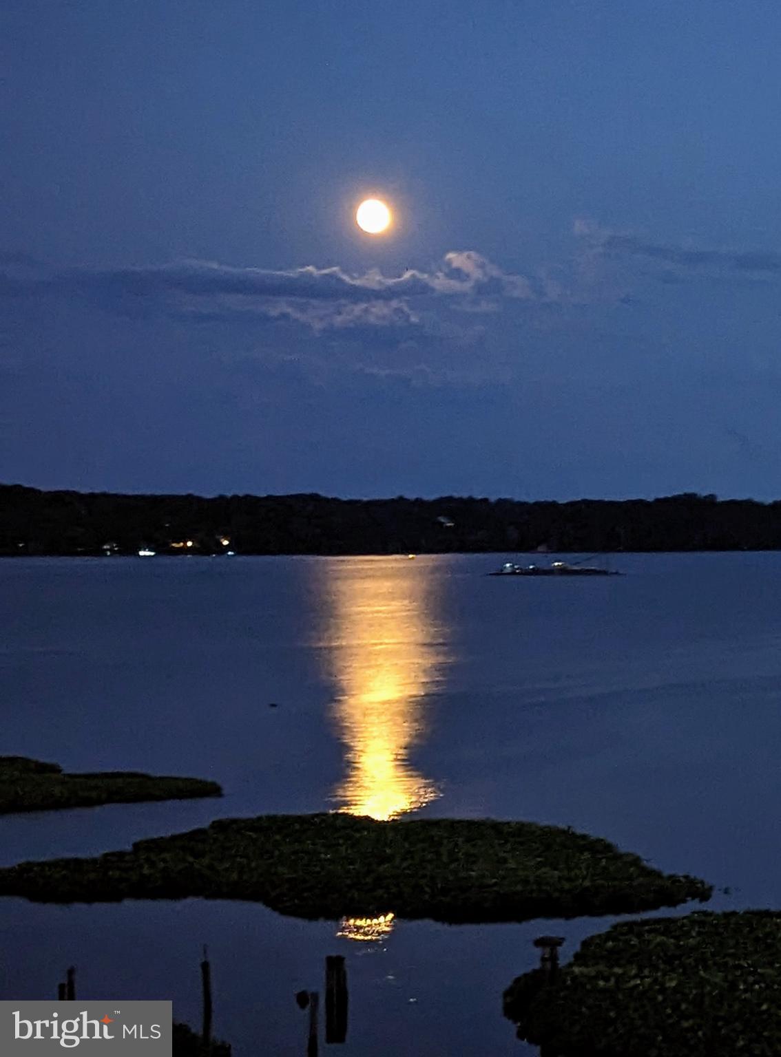 PORTO VECCHIO - Residential