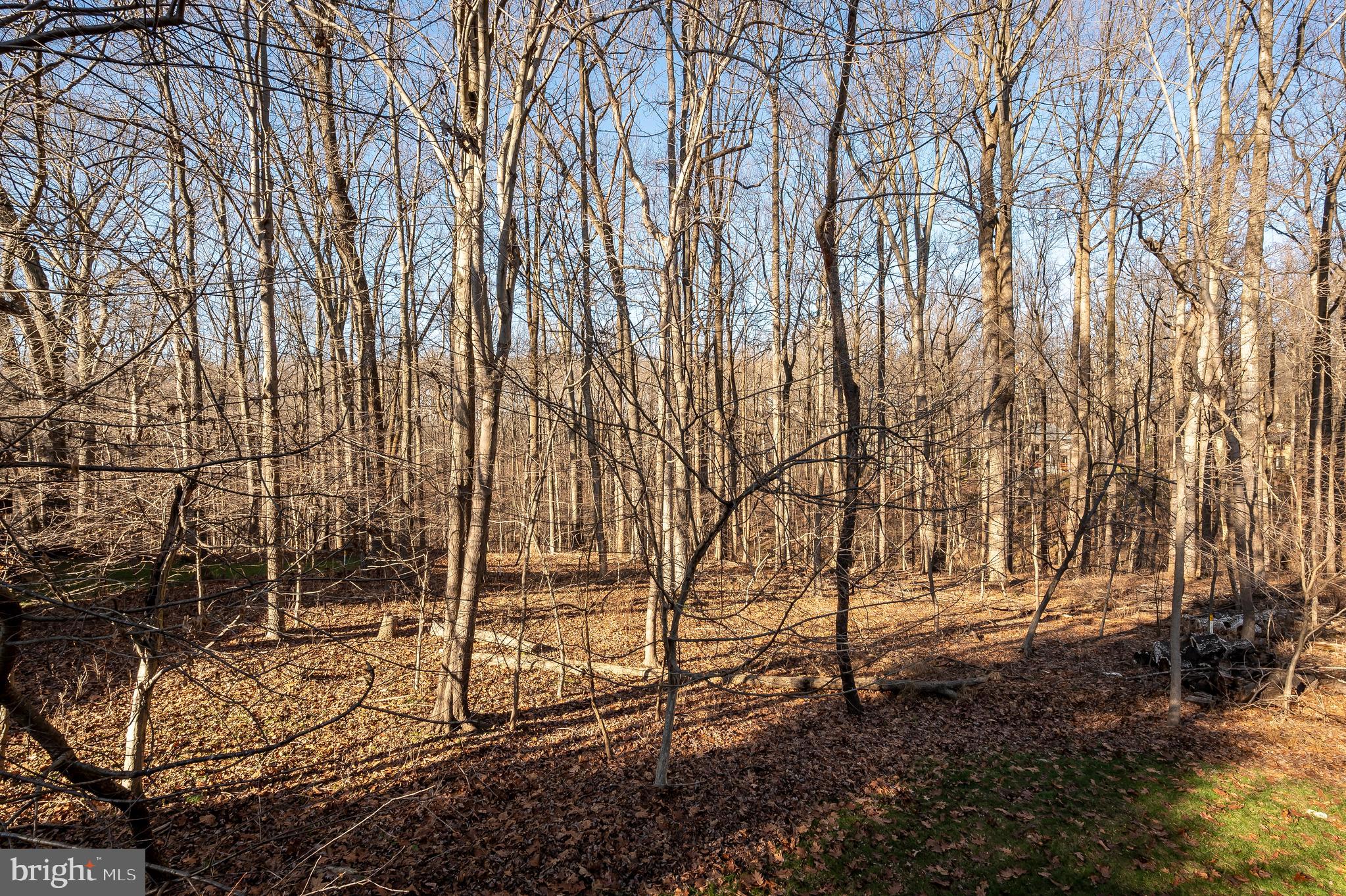 HICKORY RIDGE - Residential