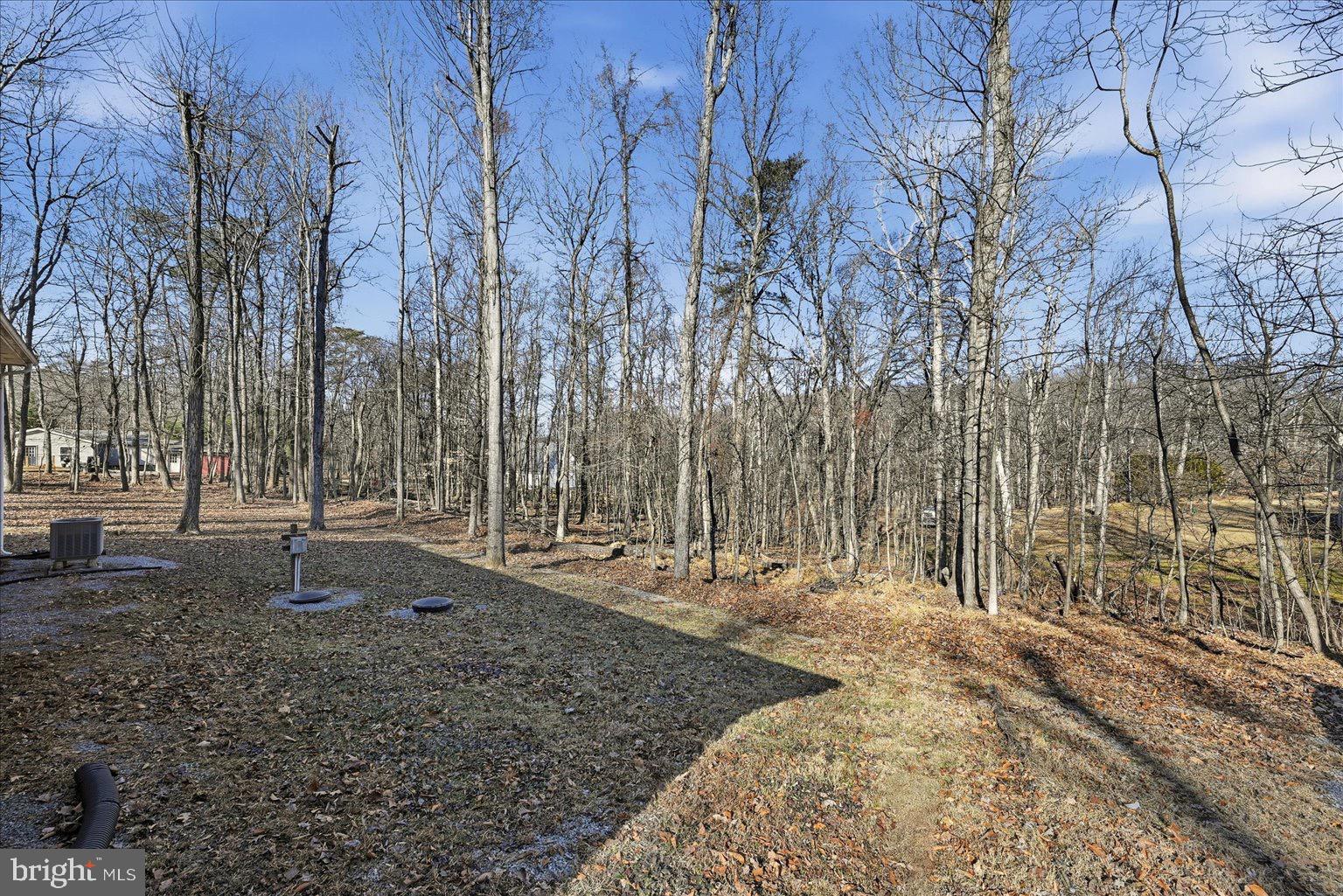 SHENANDOAH RETREAT - Residential