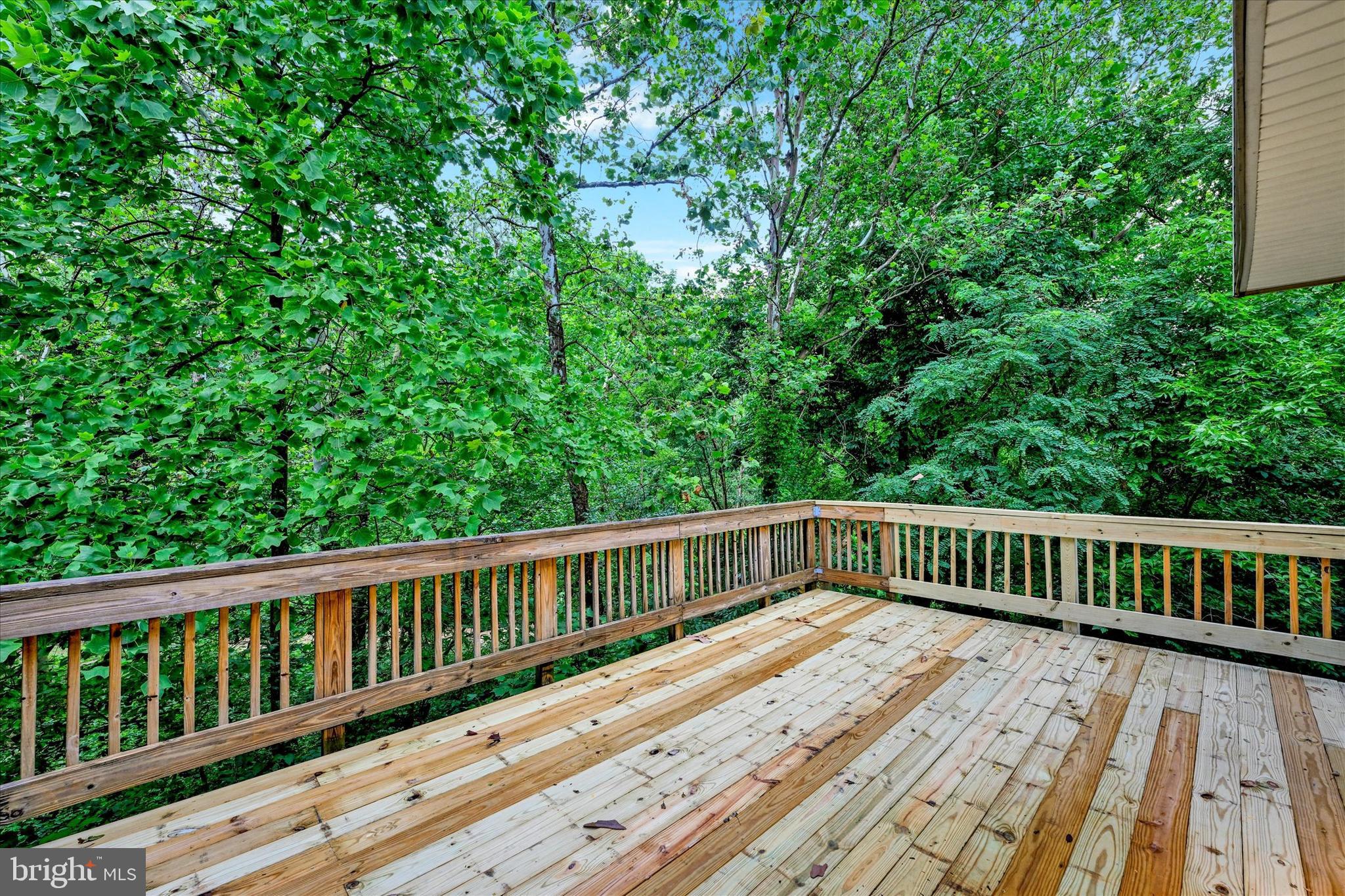 ROSEDALE - Residential