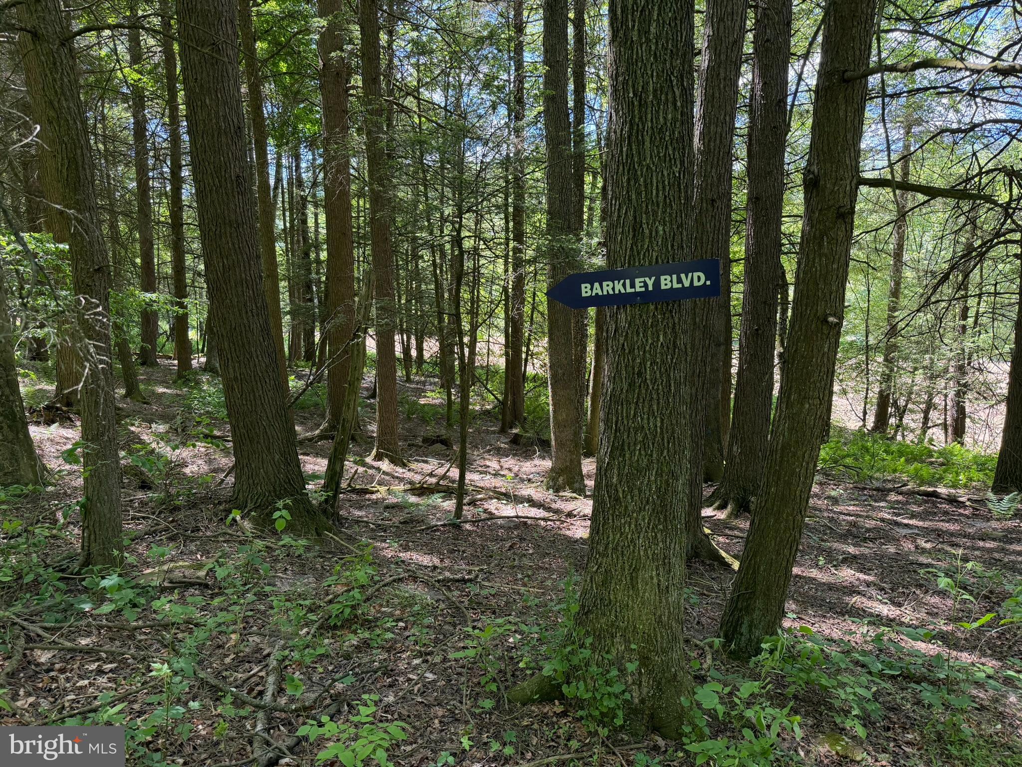 580 FAIRVIEW ROAD