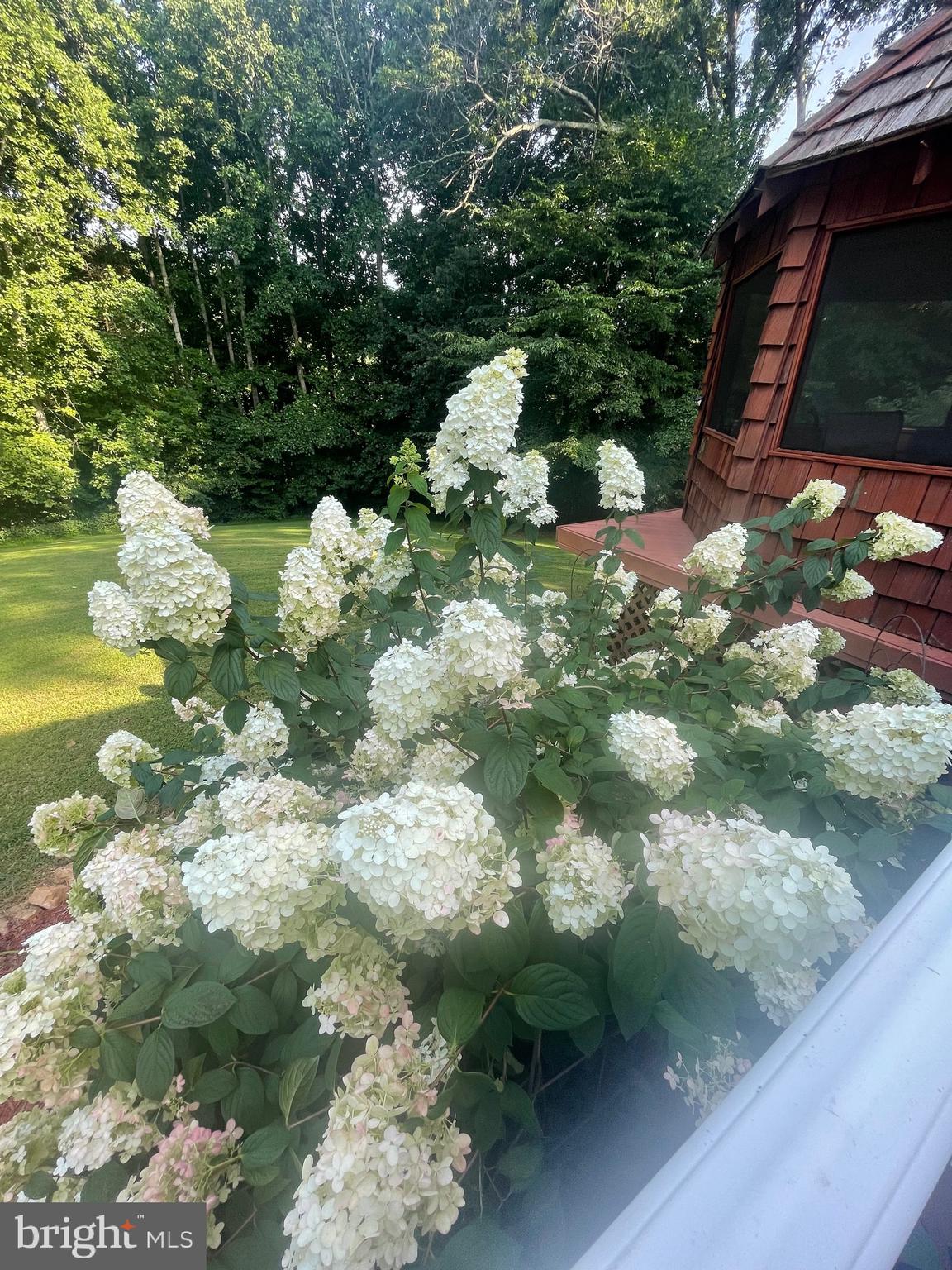 MARYVALE - Residential