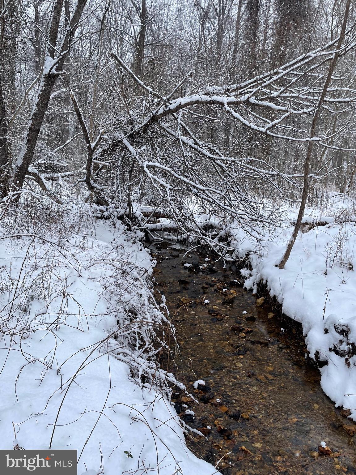 MARYVALE - Residential