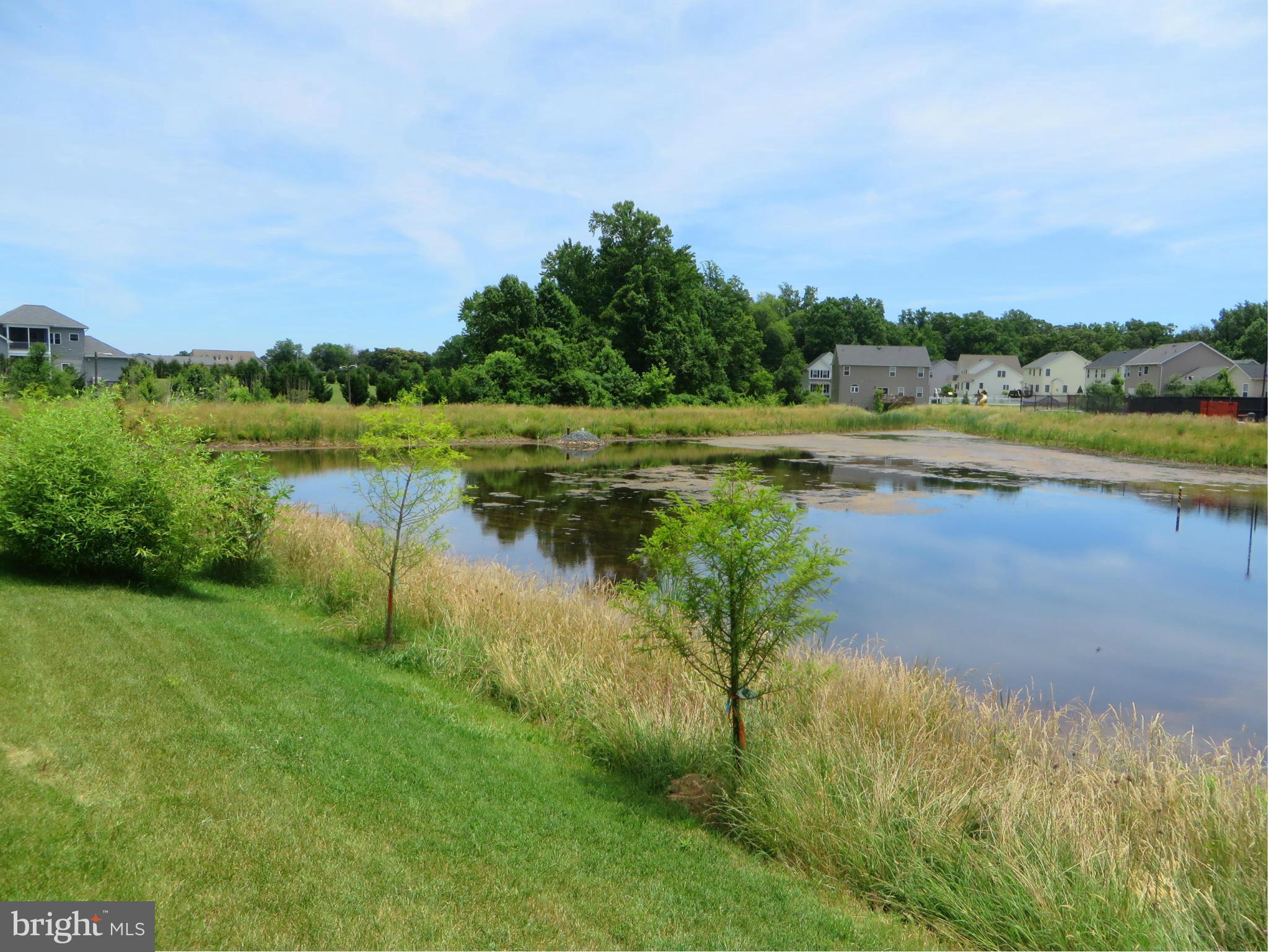ESTATES AT JOY CHAPEL - Residential