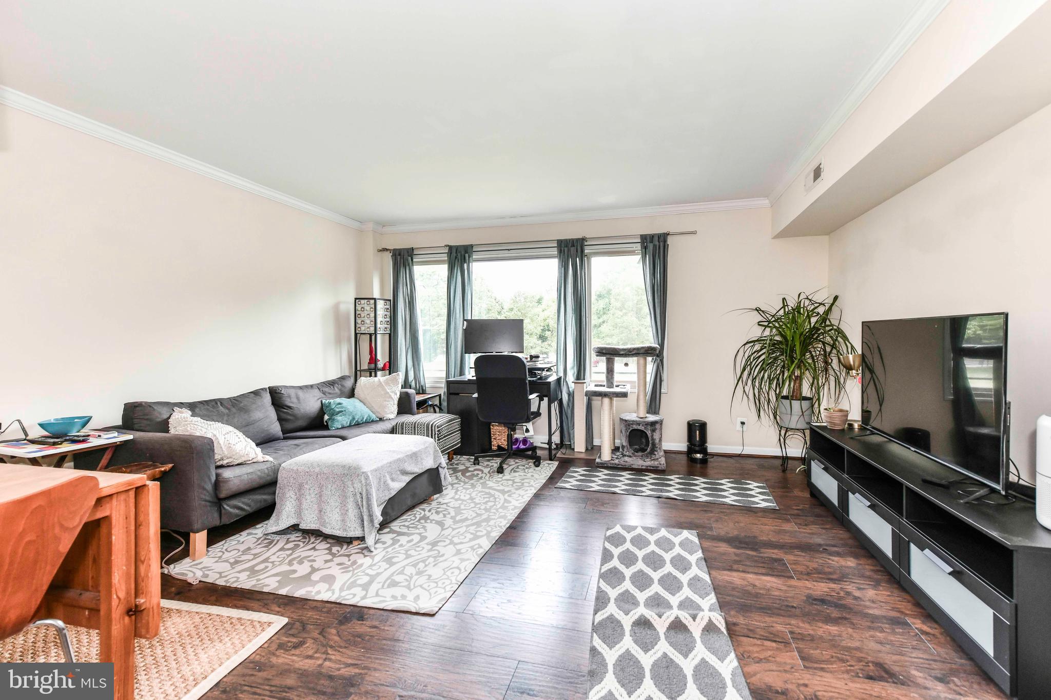 10570 MAIN STREET 217