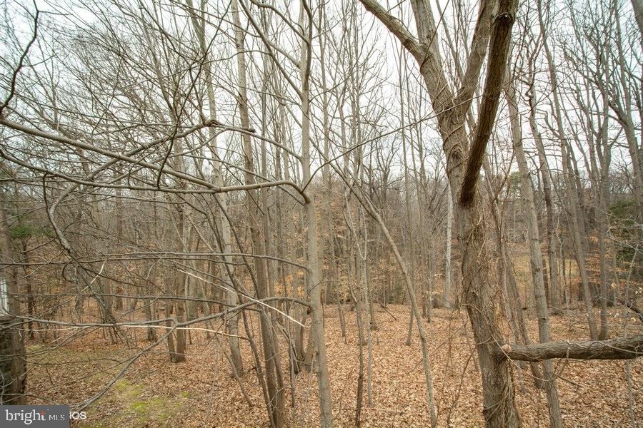 SYCAMORES AT VAN DORN - Residential