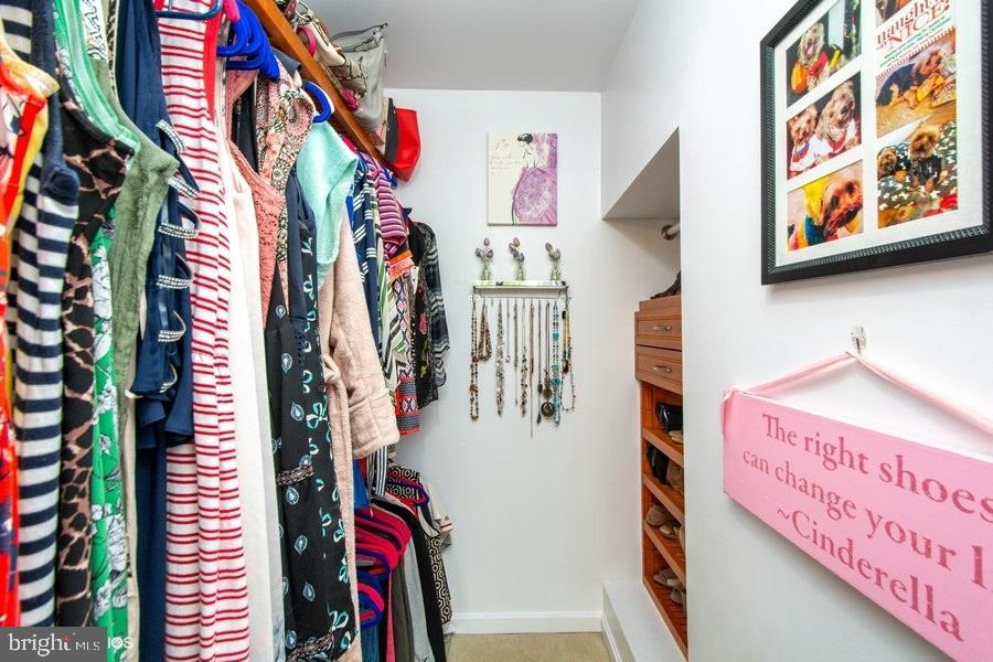 SYCAMORES AT VAN DORN - Residential