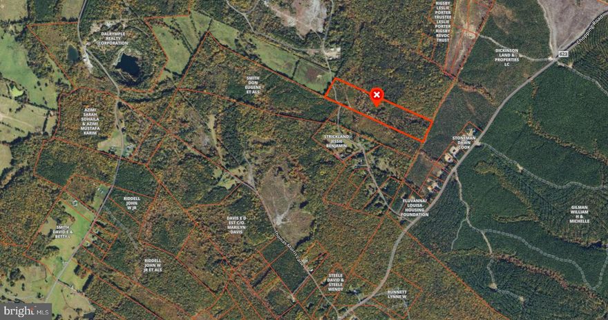 Escape to the peace and privacy of this stunning 25-acre property in Mineral, VA. Offering expansive acreage, natural beauty, and endless potential, this parcel is ideal for building a custom home, creating a private retreat, or holding as an investment. Enjoy quiet country living while remaining conveniently located near Lake Anna, town amenities, and major routes for commuting. With no HOA and plenty of space to roam, this property provides the freedom and flexibility today’s buyers are looking for. A rare opportunity to own substantial acreage in a desirable area.