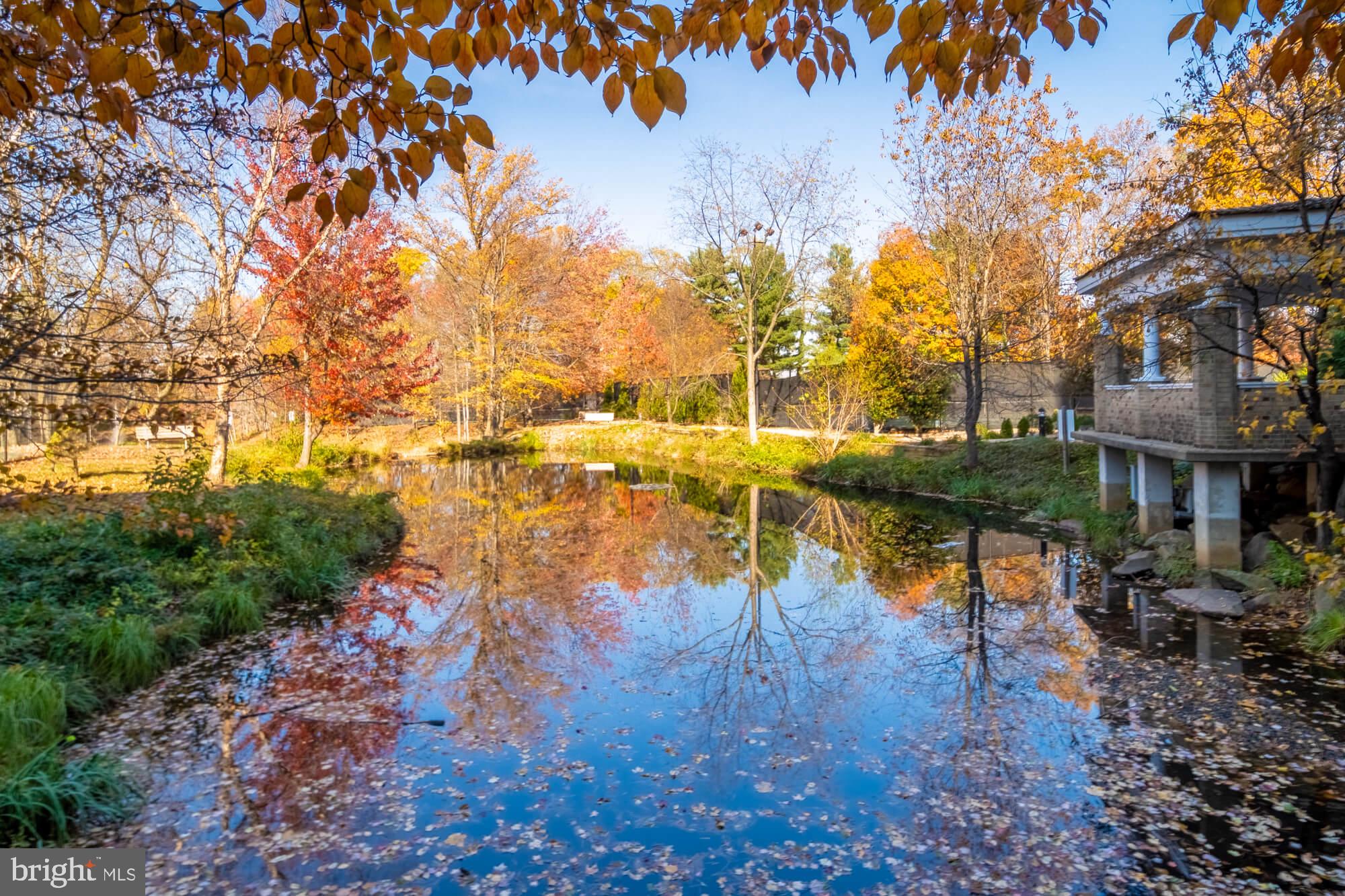 ROTONDA - Residential