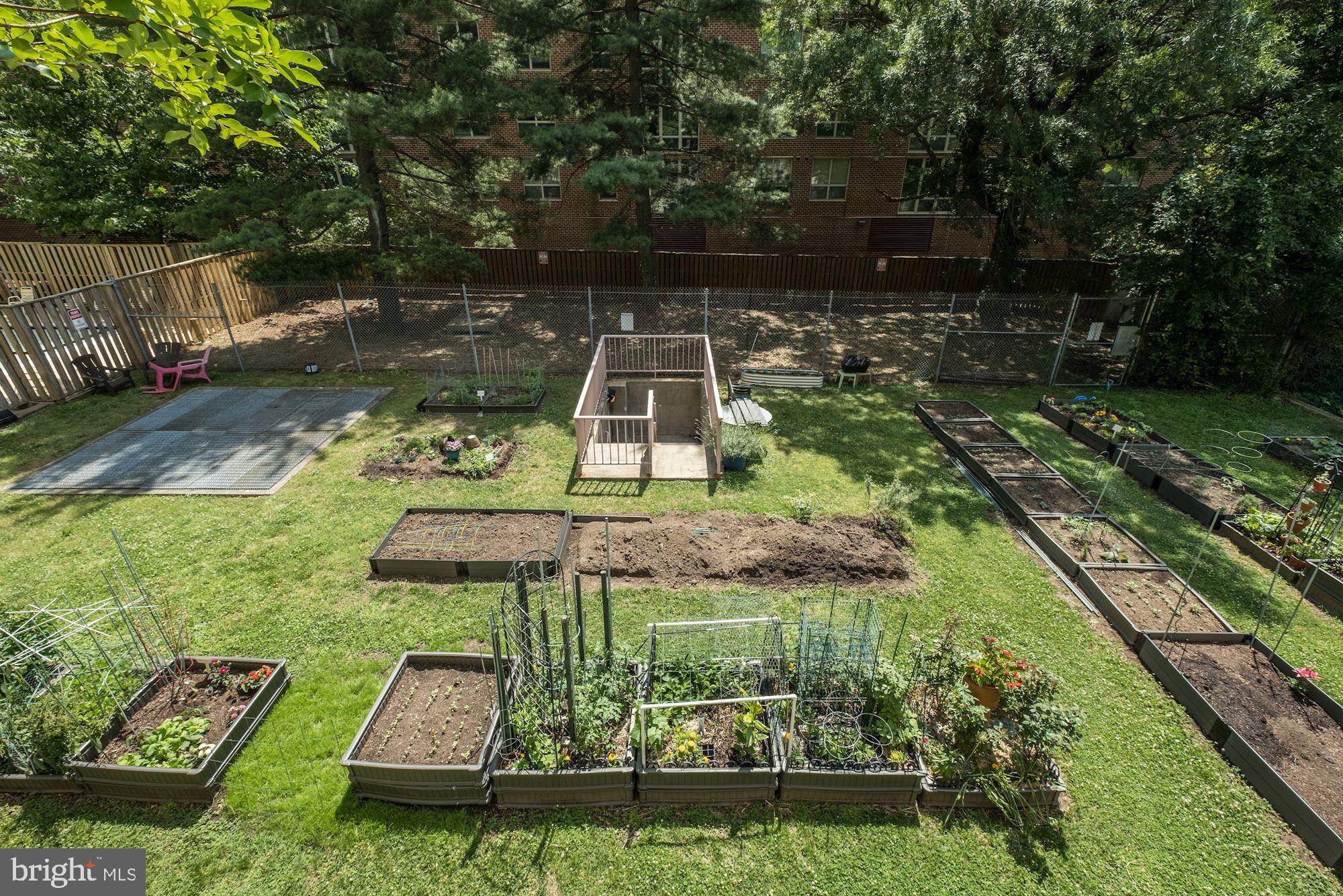 HYDE PARK - Residential