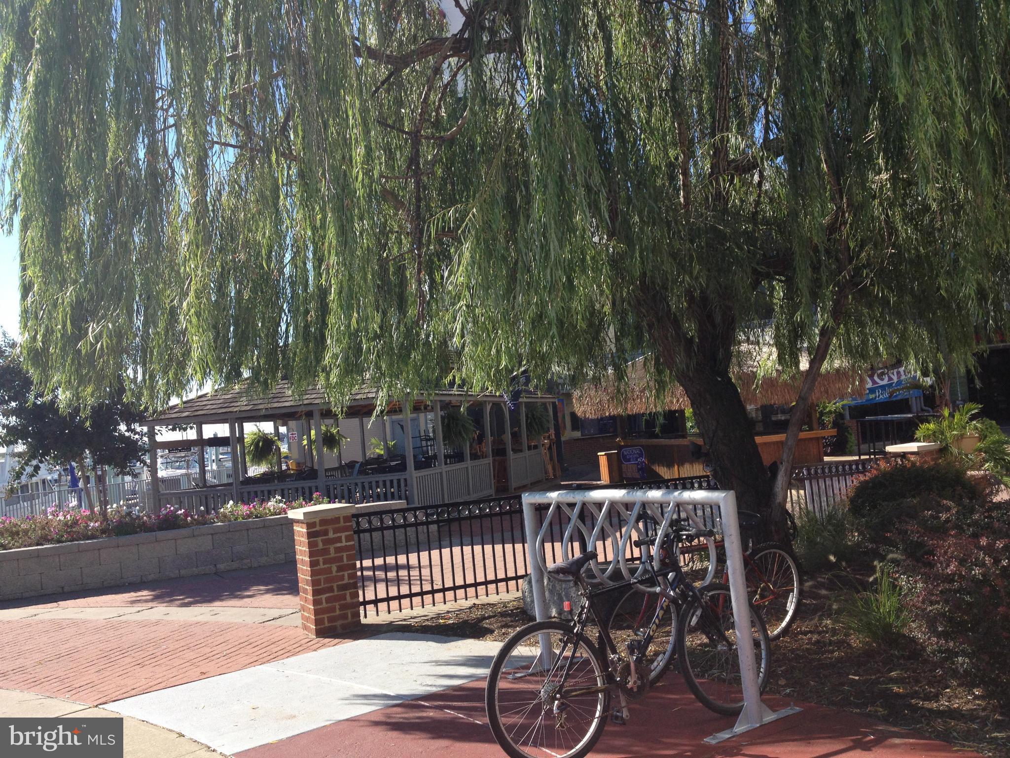 CANTON - Residential Lease